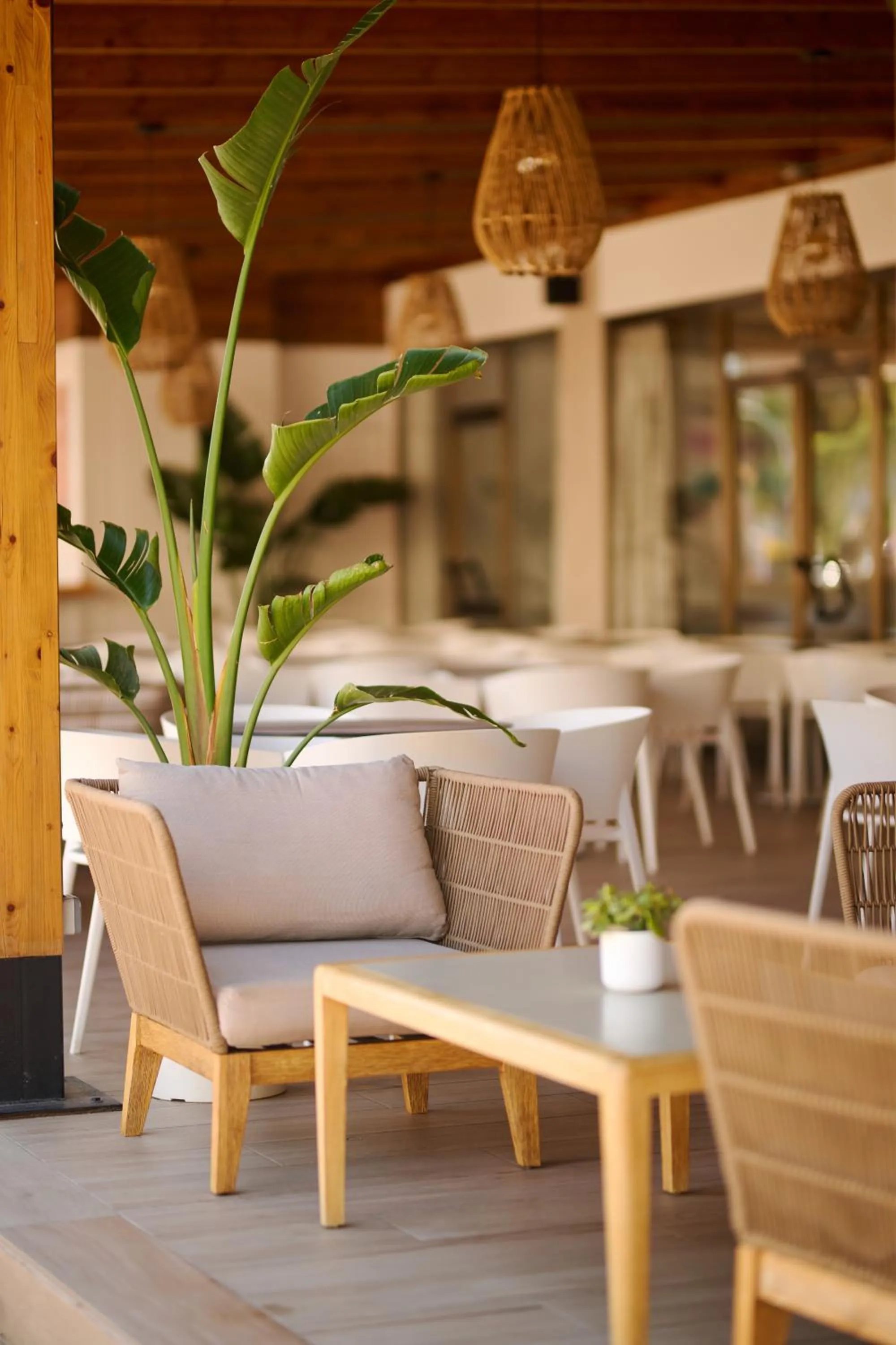 Seating area in Alua Boccaccio