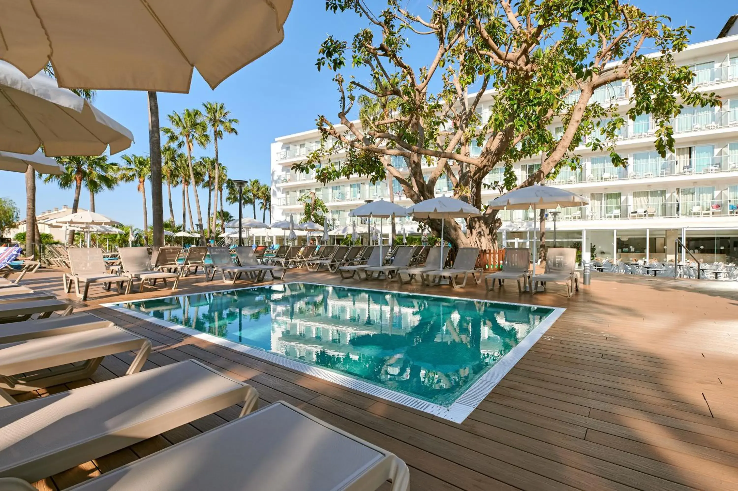 Swimming pool in Alua Boccaccio Swimming pool in Alua Boccaccio