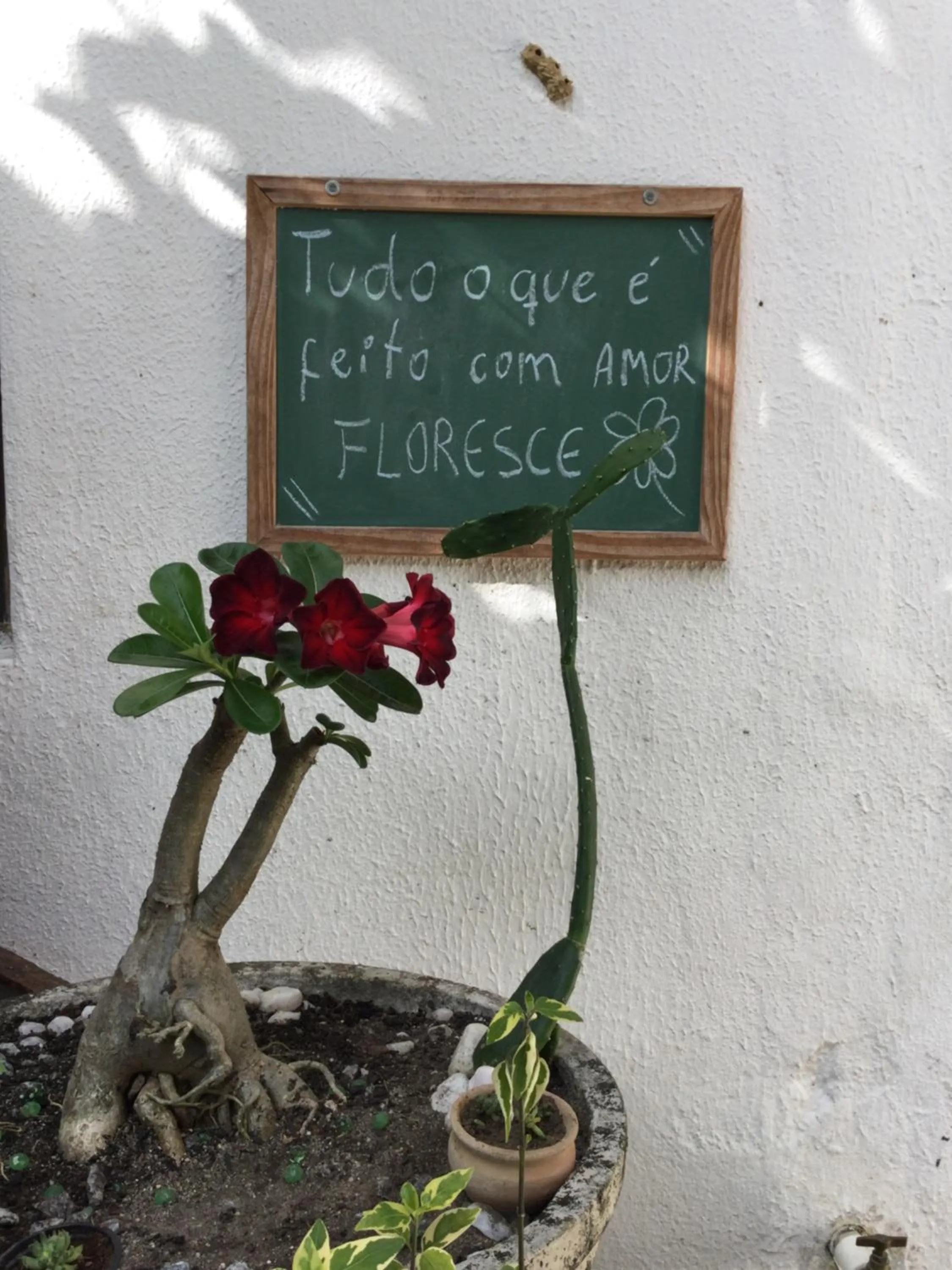 Pousada Alquimia