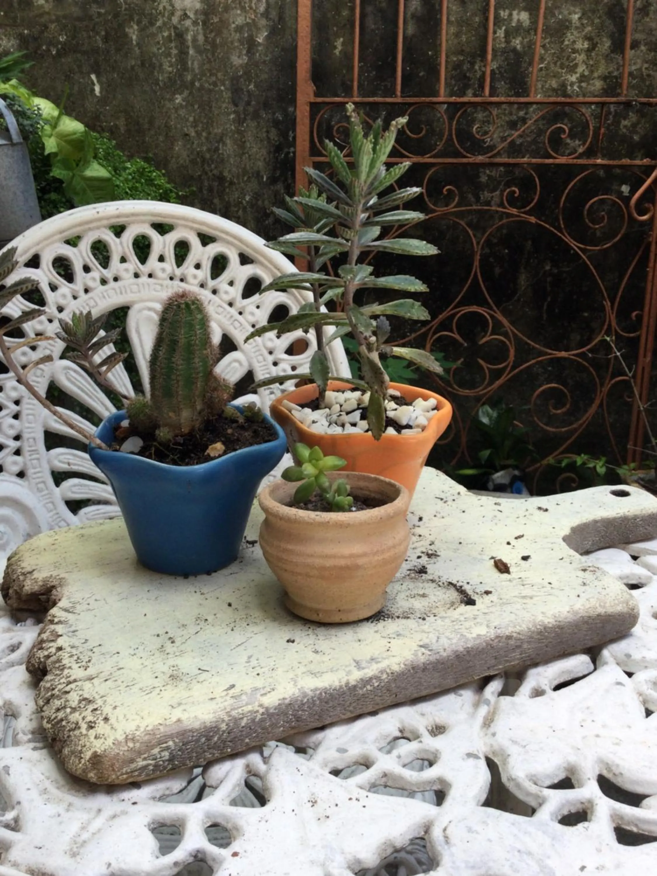 Pousada Alquimia