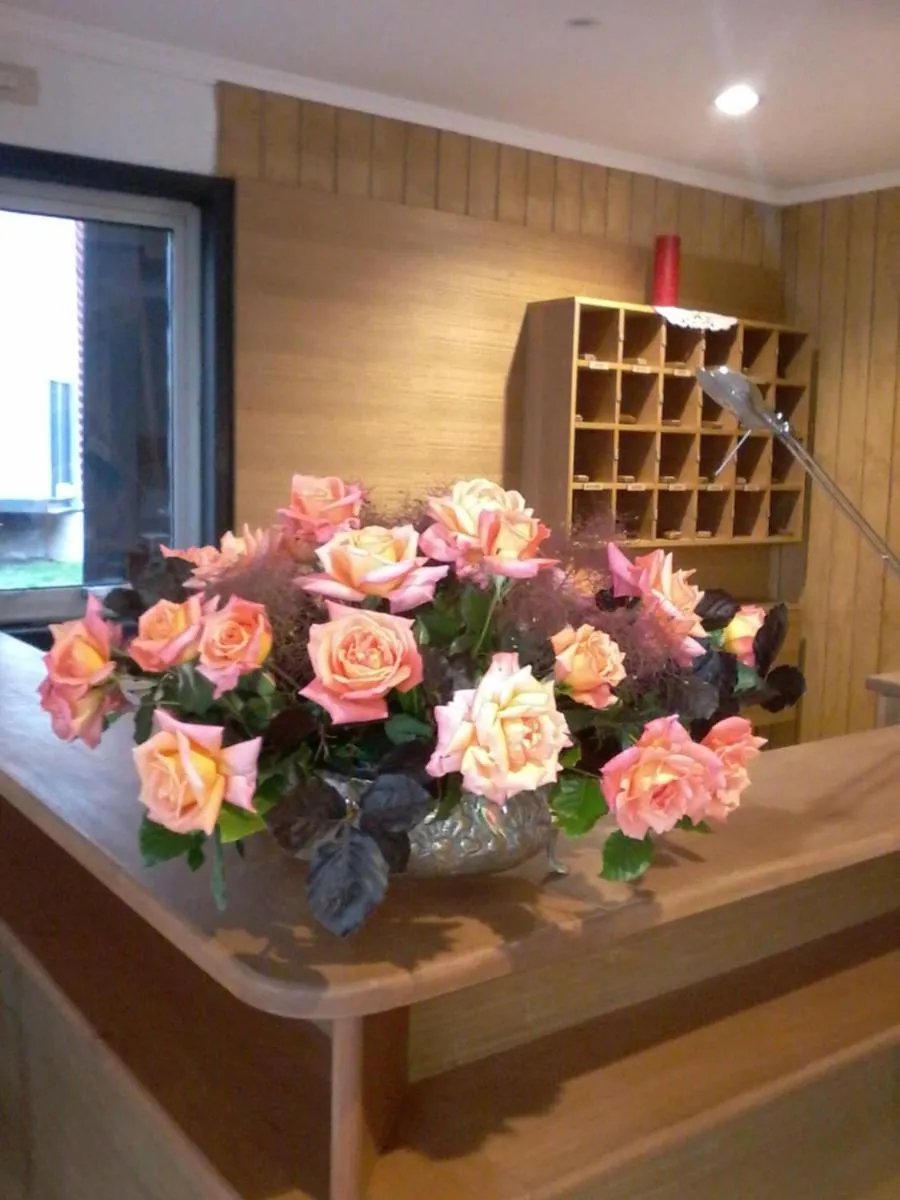 Lobby or reception in Ruta Hotel Alto La Cruz