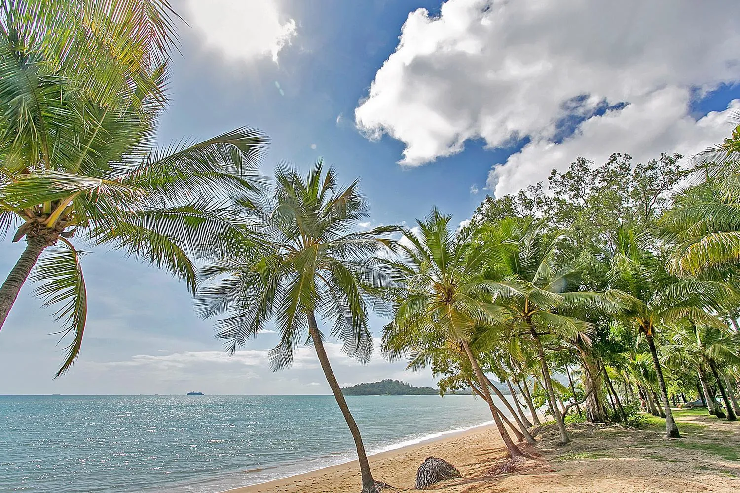 Beach in Arlington Apartments