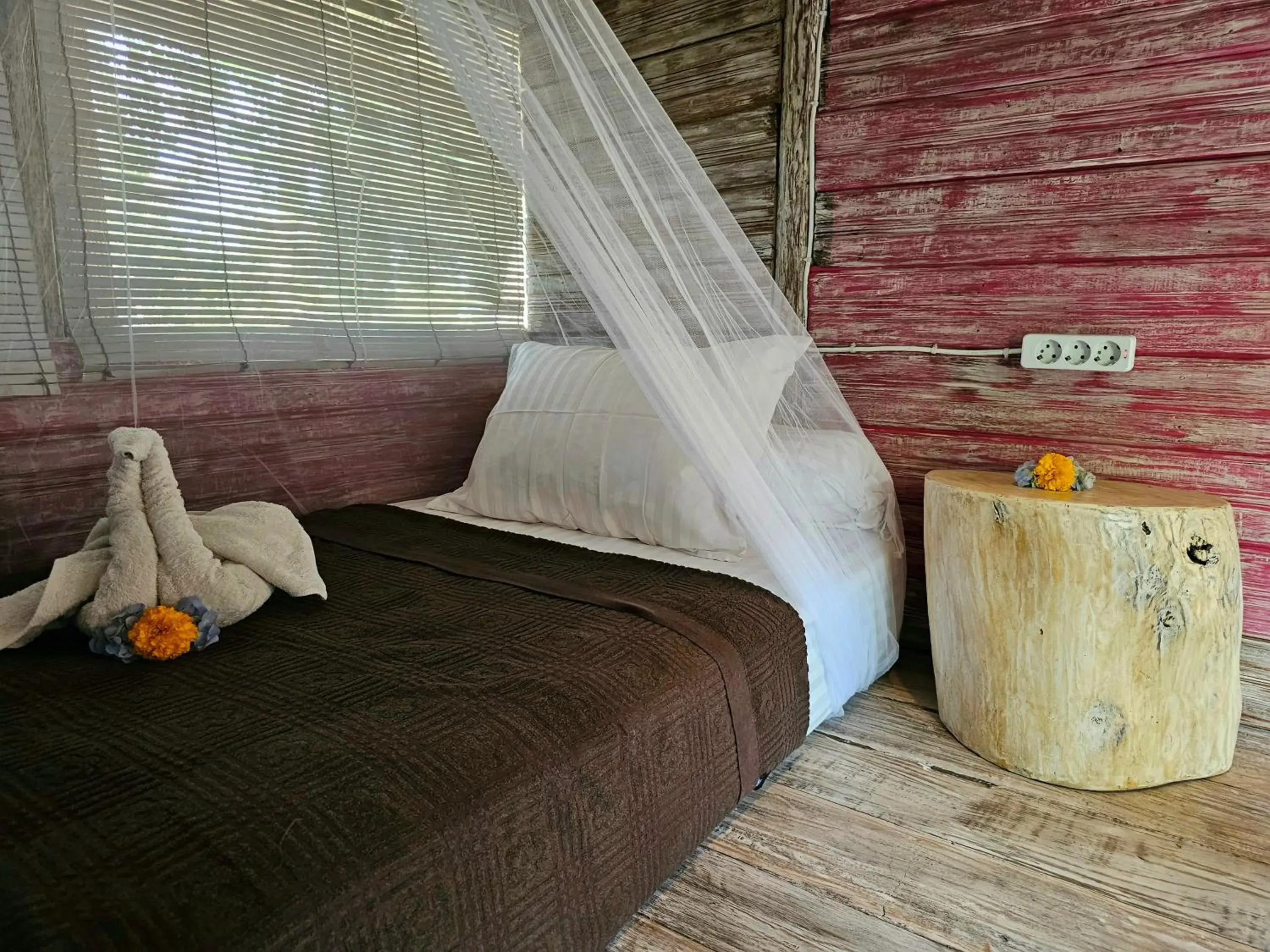 Single Room with Private Bathroom - single occupancy in Funky Place Single Room with Private Bathroom - single occupancy in Funky Place