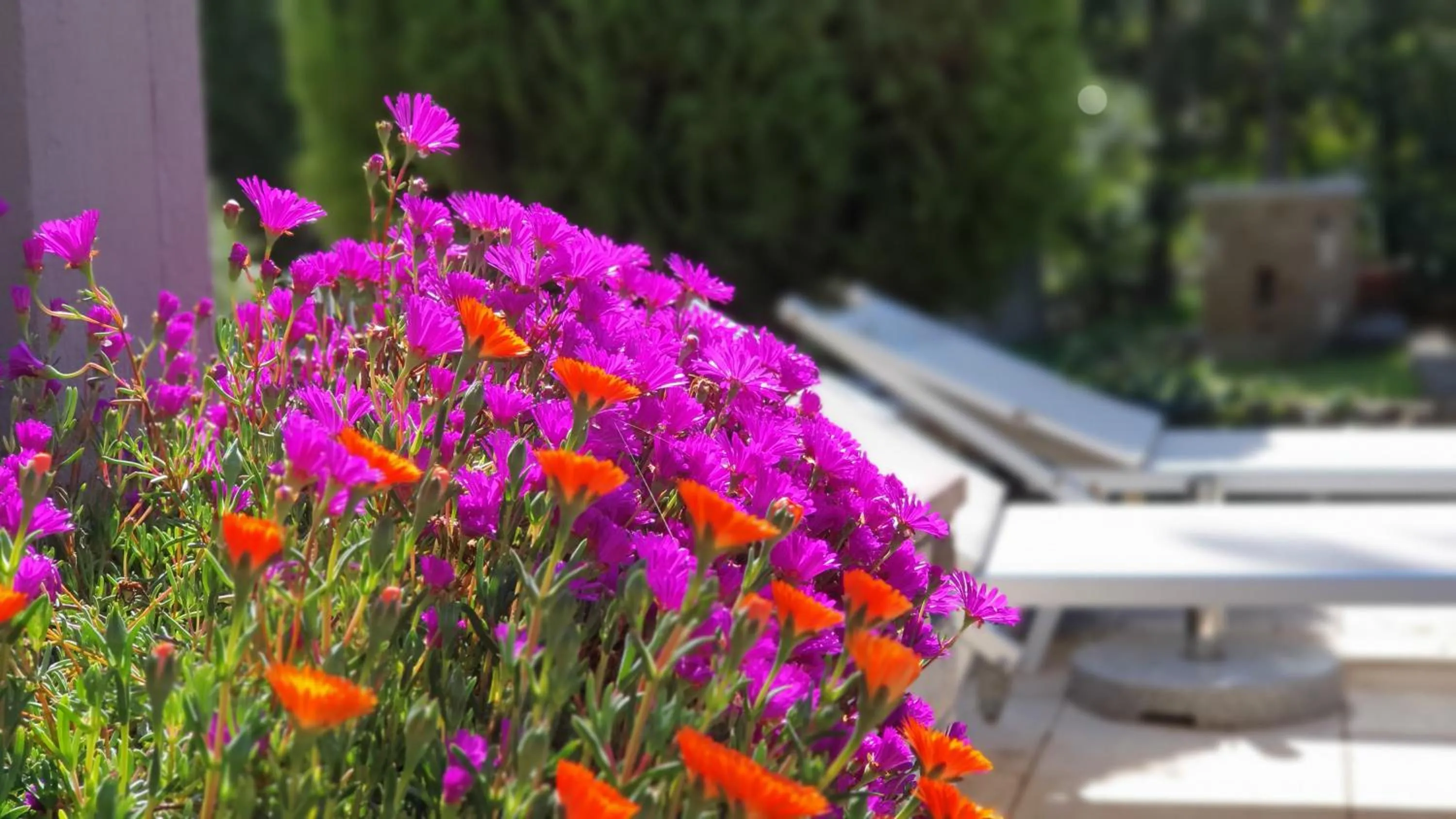 Property building in Apulia Time