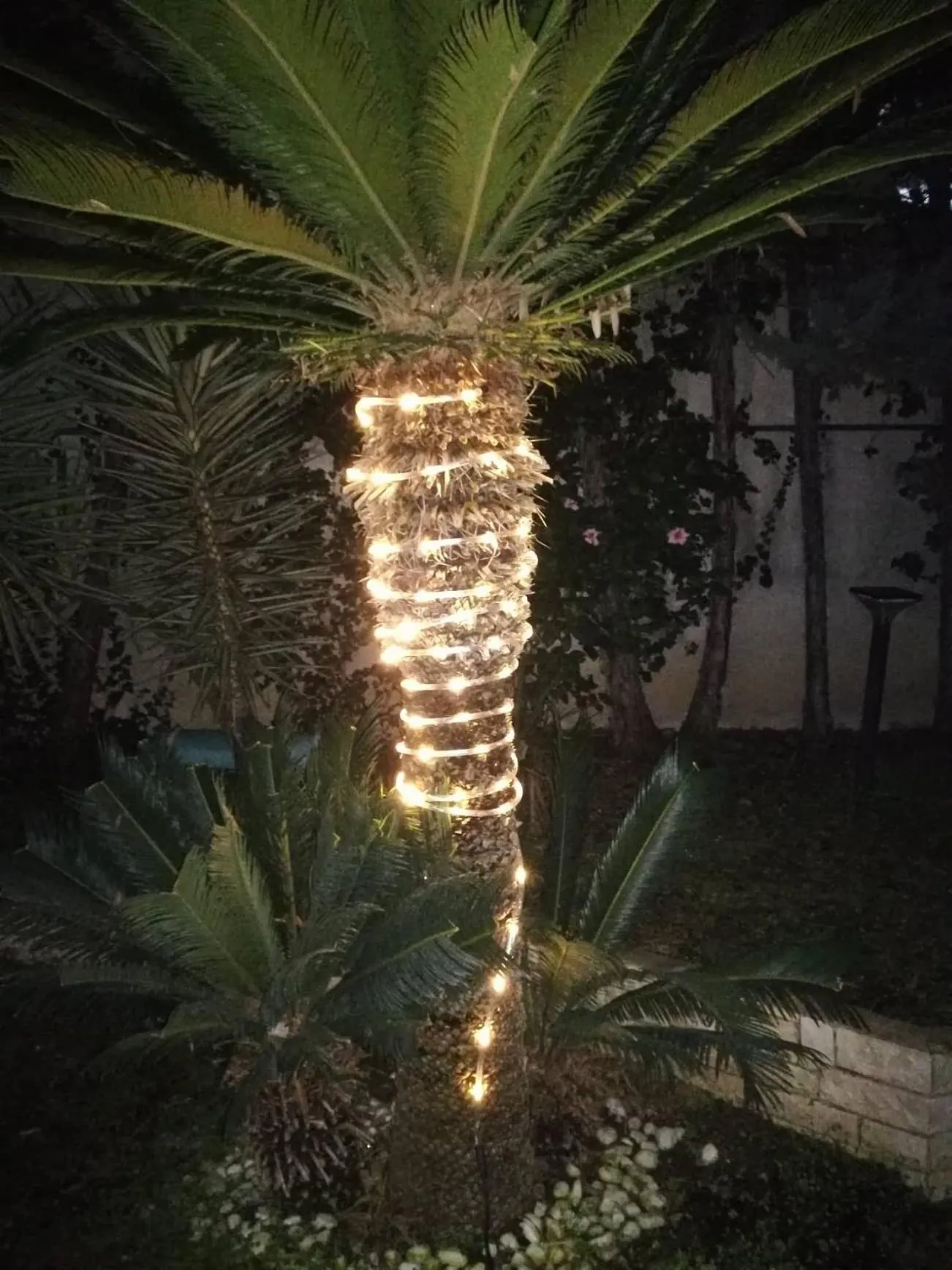 Property building in Apulia Time