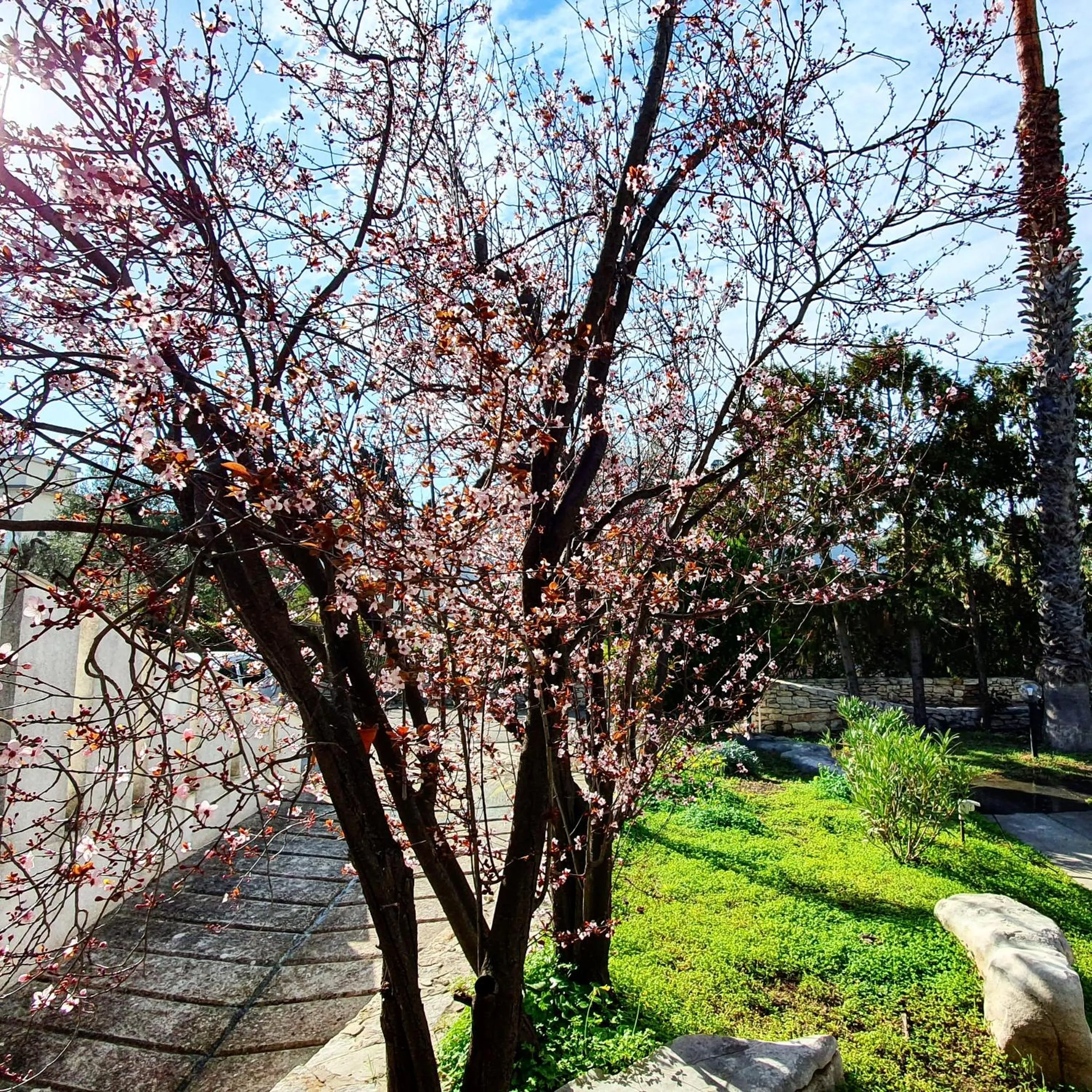 Facade/entrance in Apulia Time