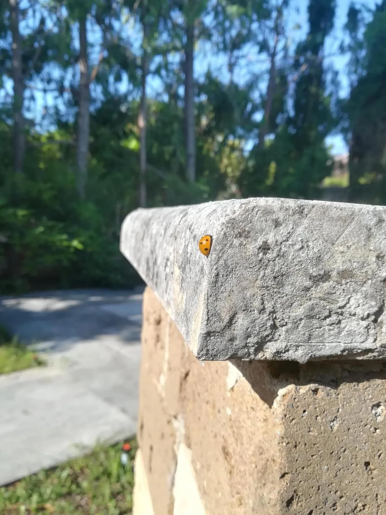 Spring in Apulia Time