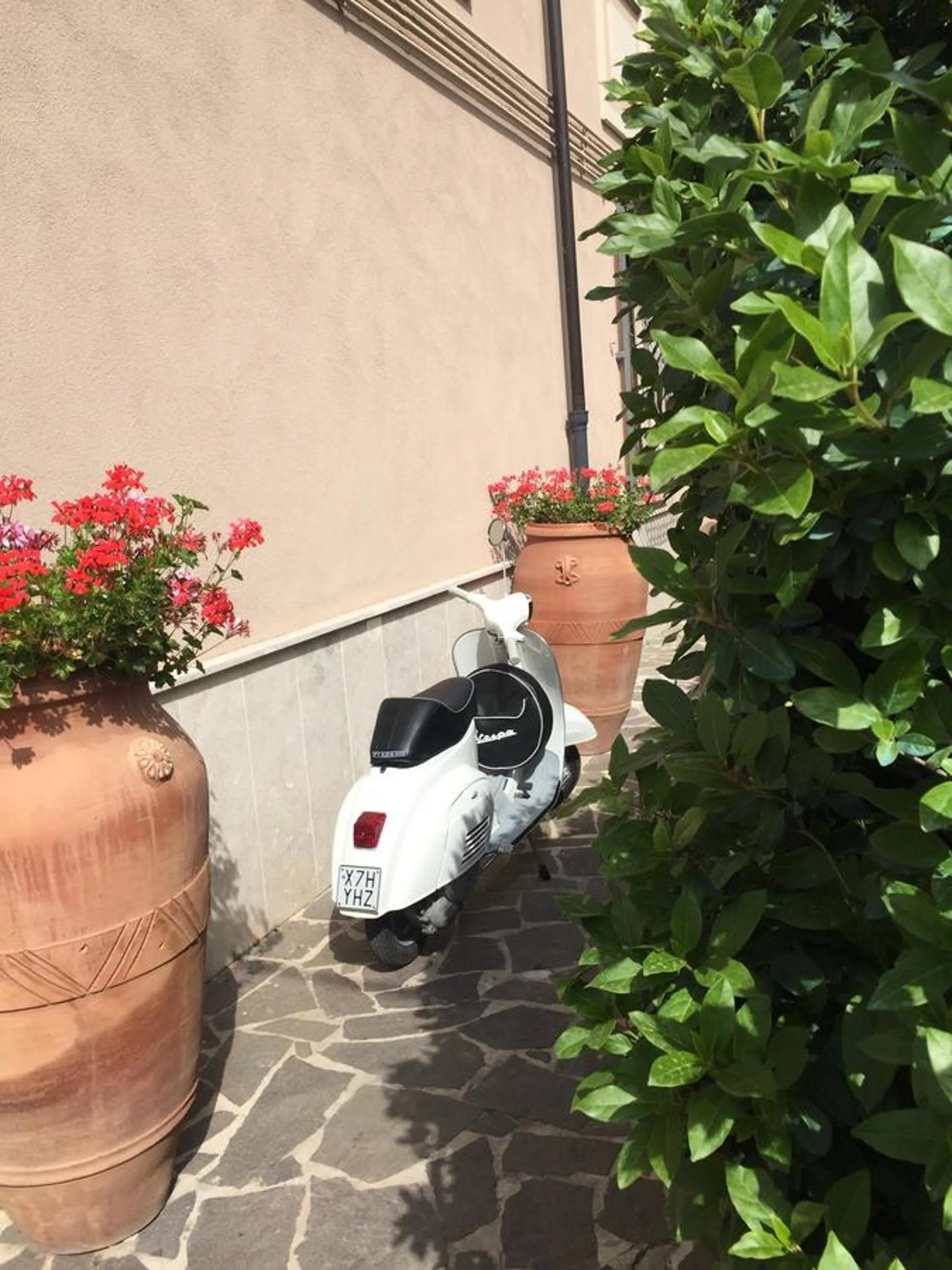 Garden view in Casina Dei Marsi