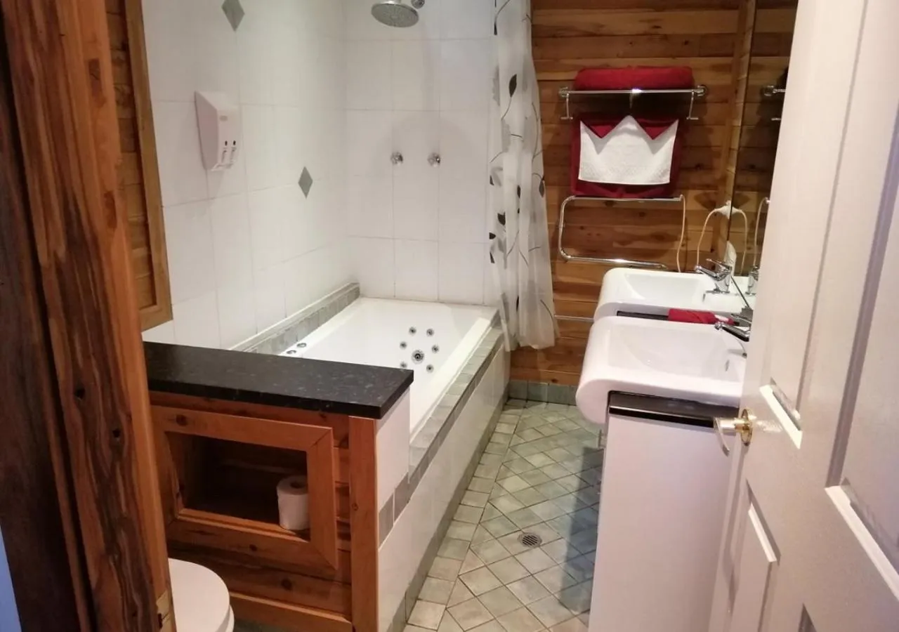 Toilet in Brooklyn Motel