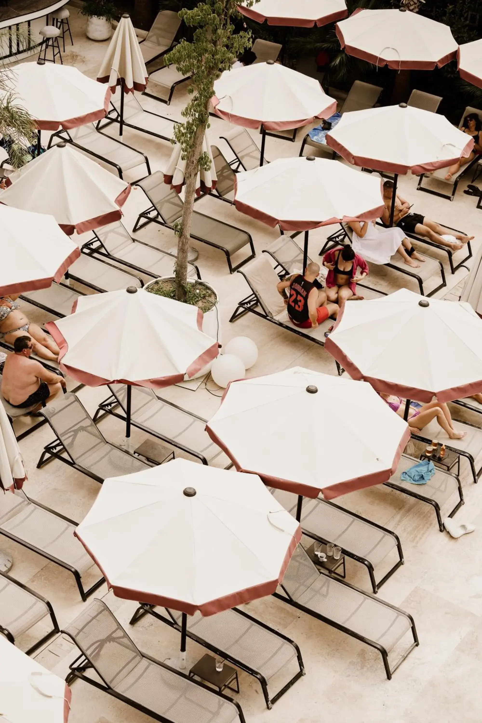 Swimming pool in Flower Hotels & Resorts Swimming pool in Flower Hotels & Resorts