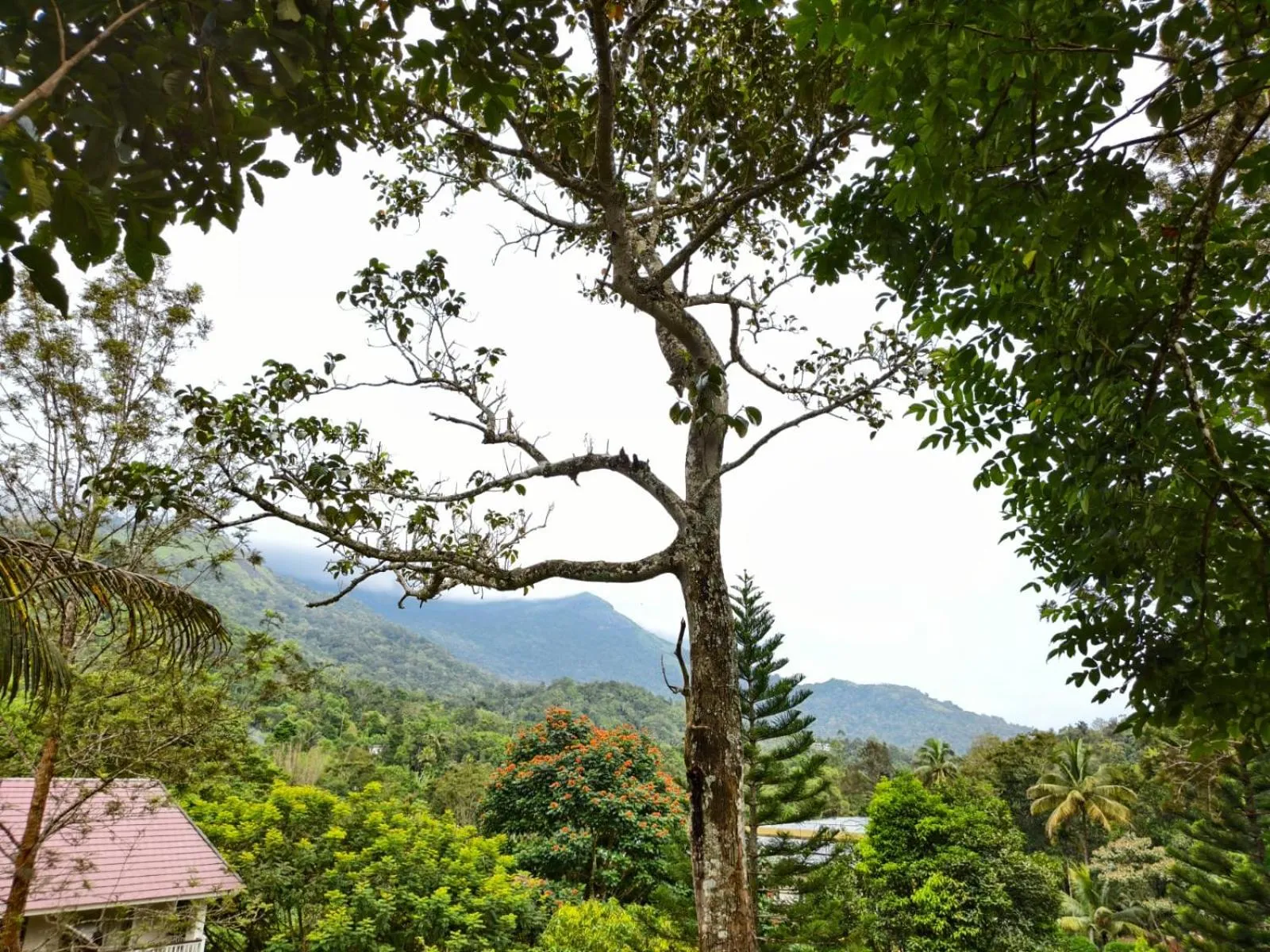 Broad Bean Resort & Spa