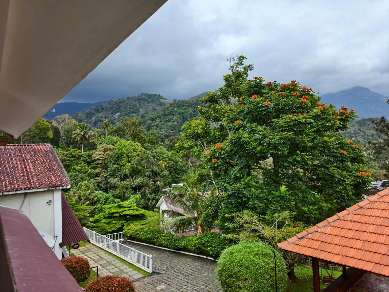 Broad Bean Resort & Spa