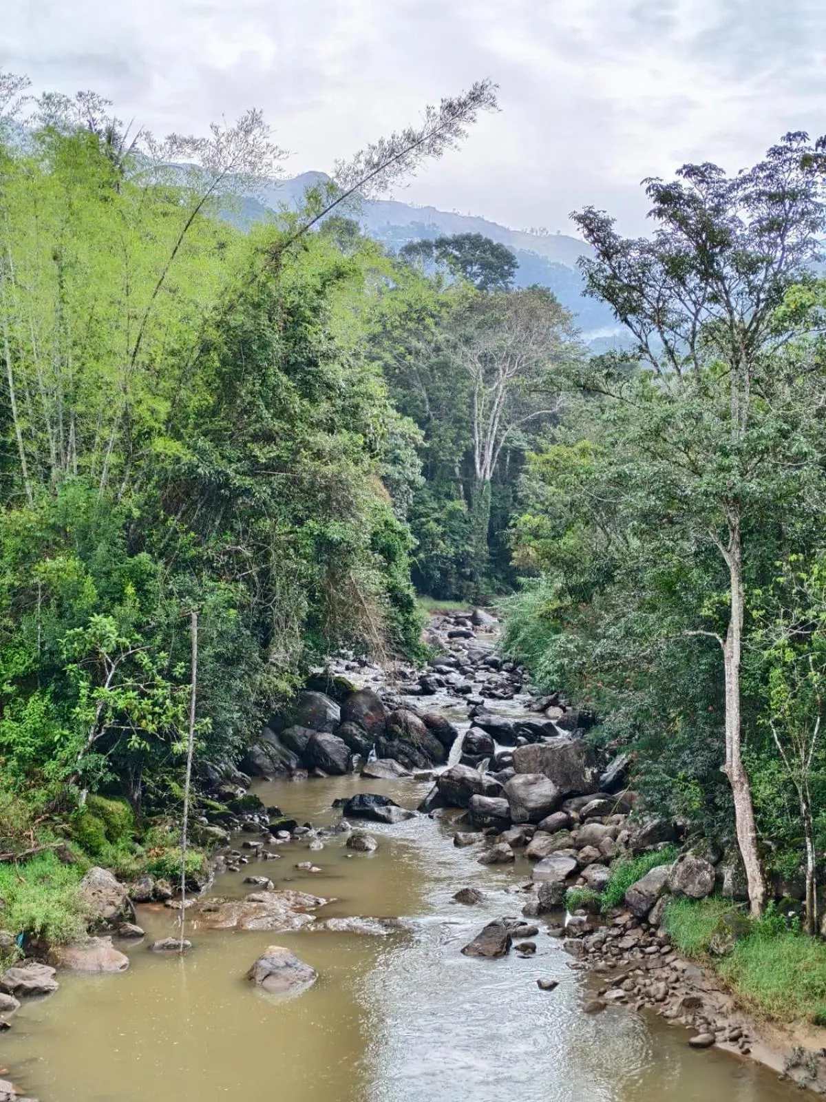 Broad Bean Resort & Spa