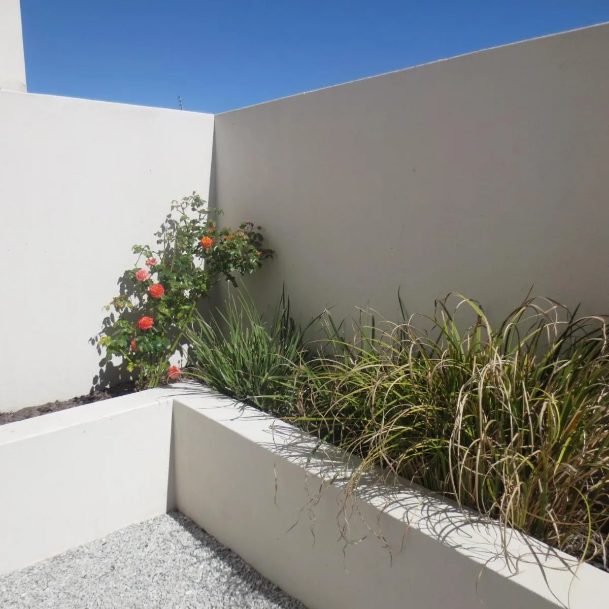 Property building in Ocean Breeze Bloubergstrand