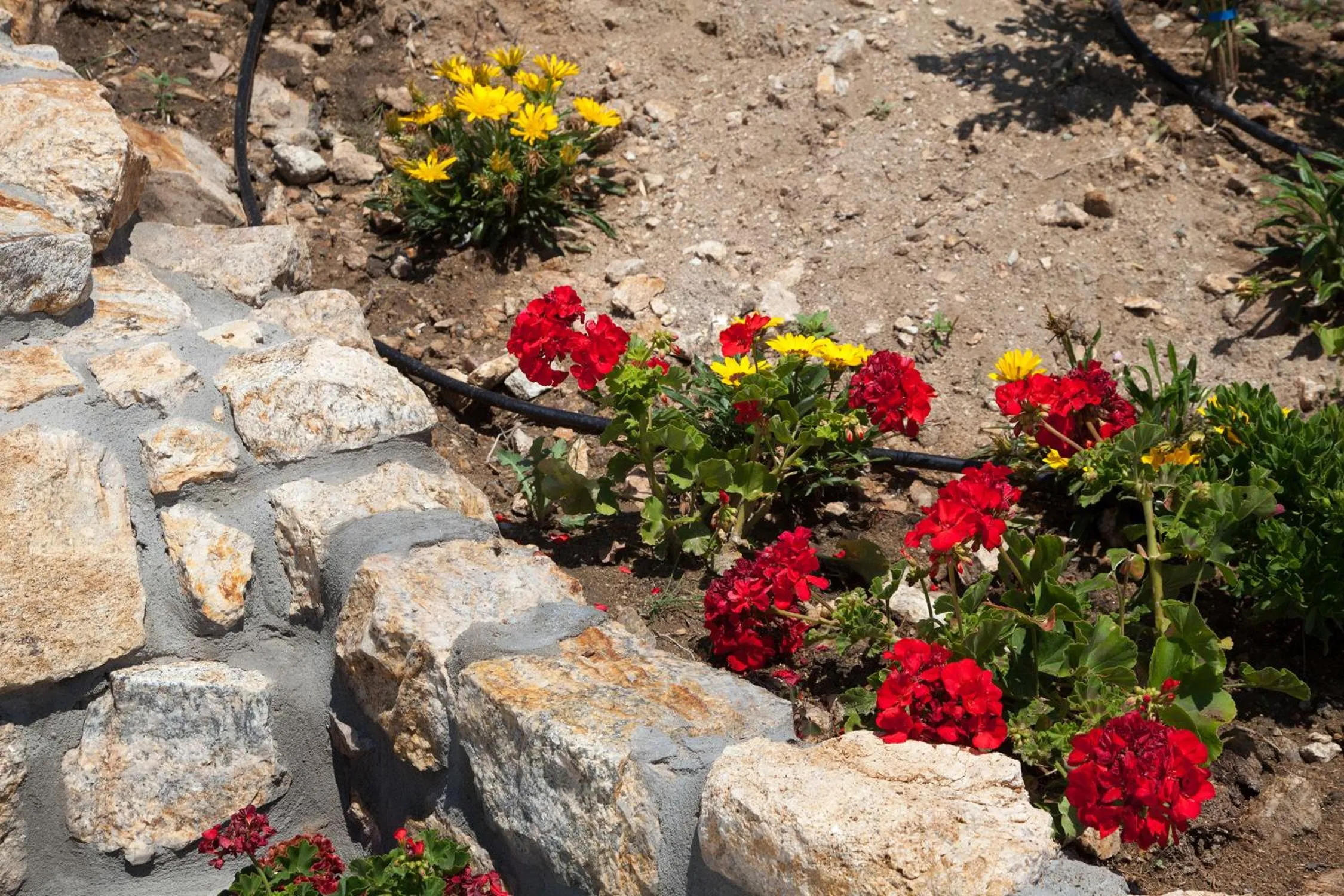 Natural landscape in Villa White Pearl
