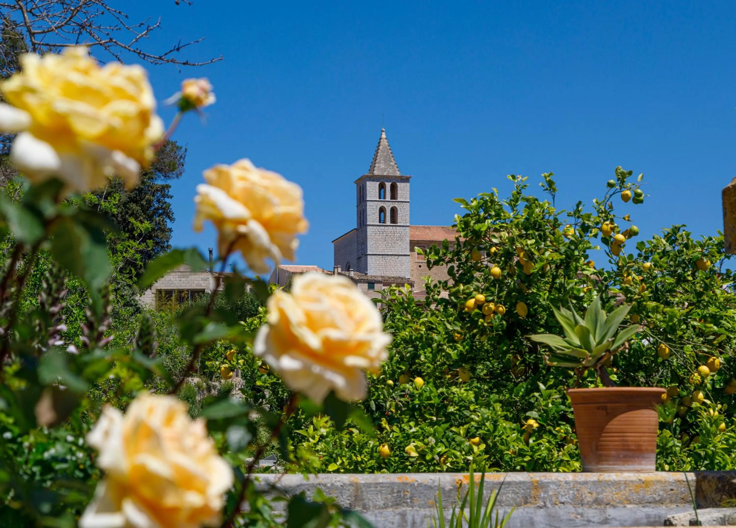Nearby landmark in Son Colom -Turismo de interior