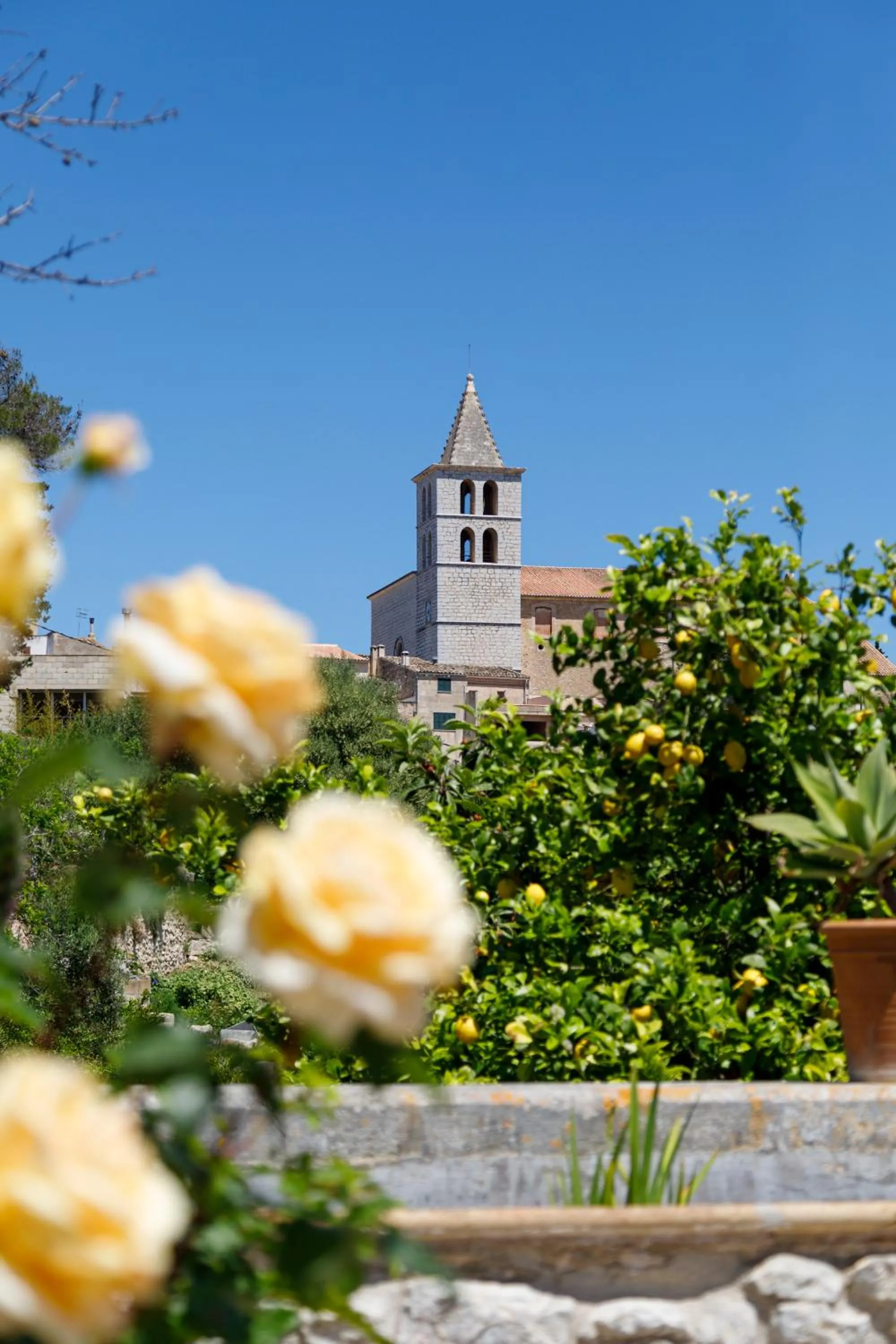 Nearby landmark in Son Colom -Turismo de interior