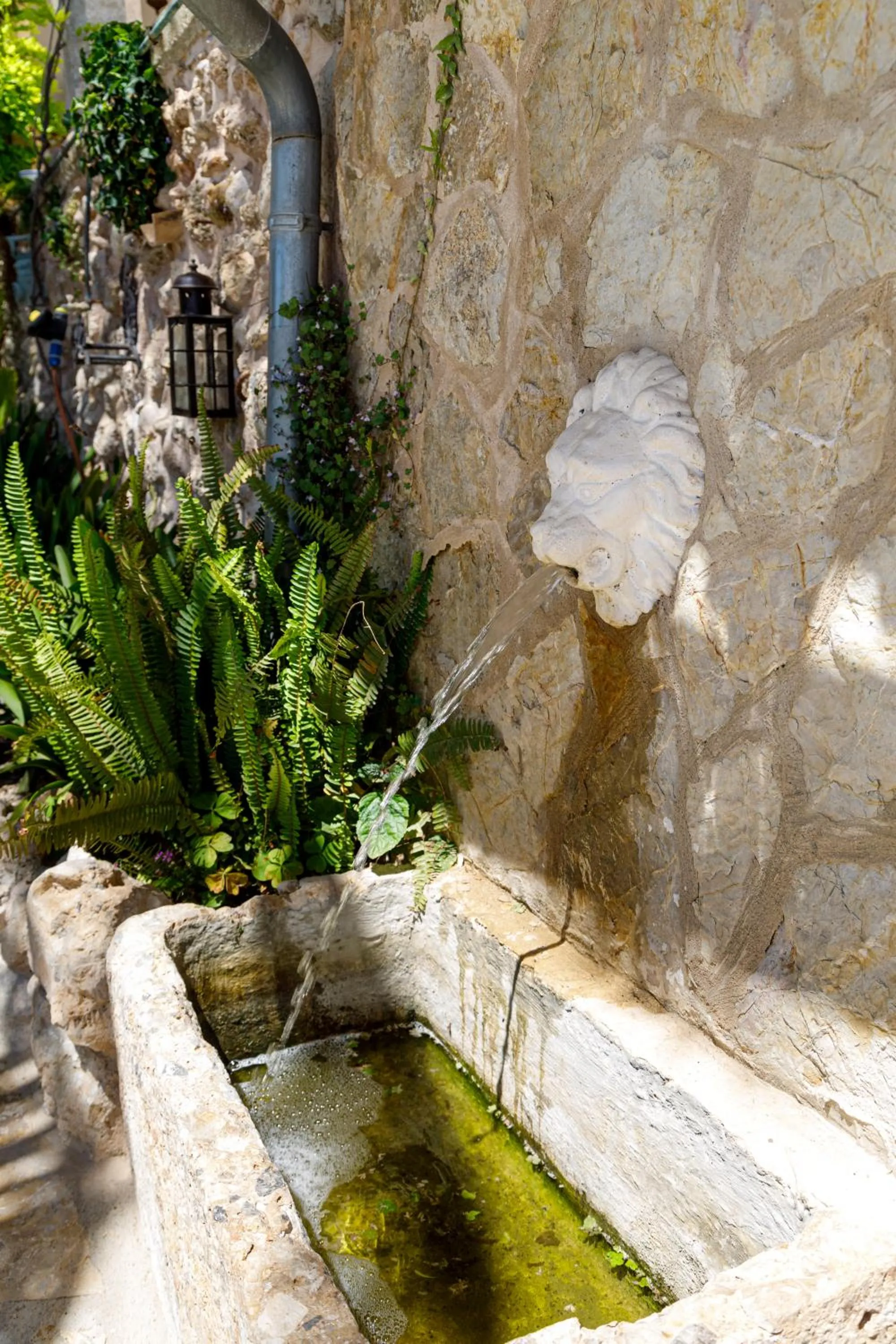 Garden in Son Colom -Turismo de interior