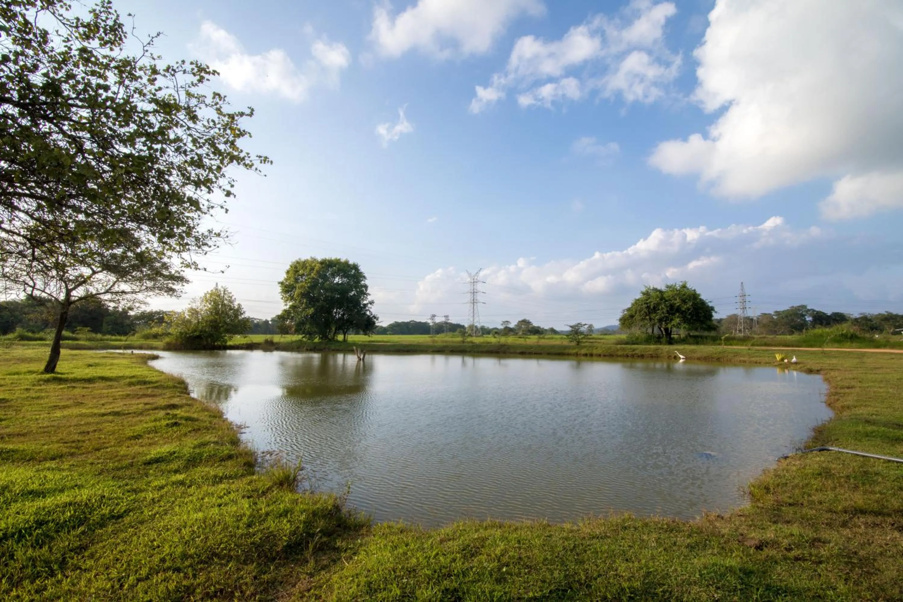 Lake view in Kumbukgaha Villa