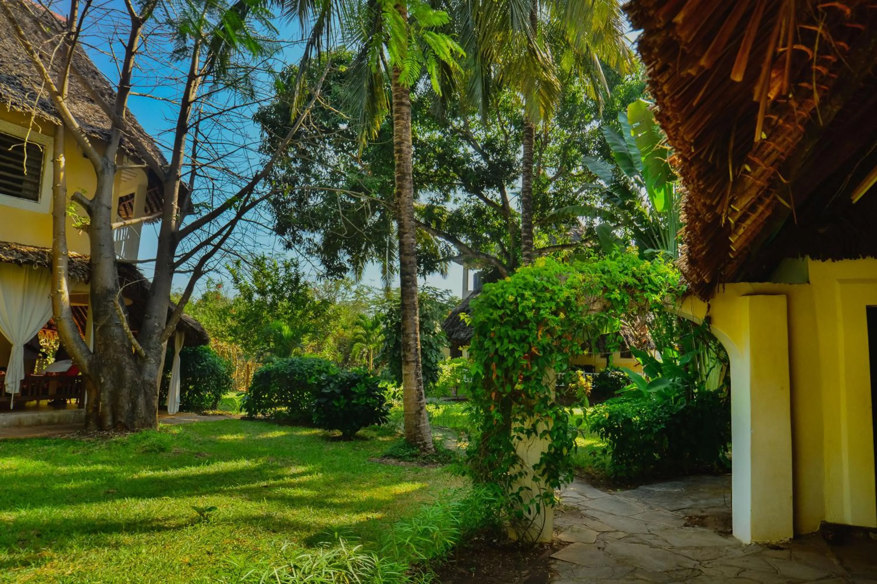 Garden in Upani in Diani