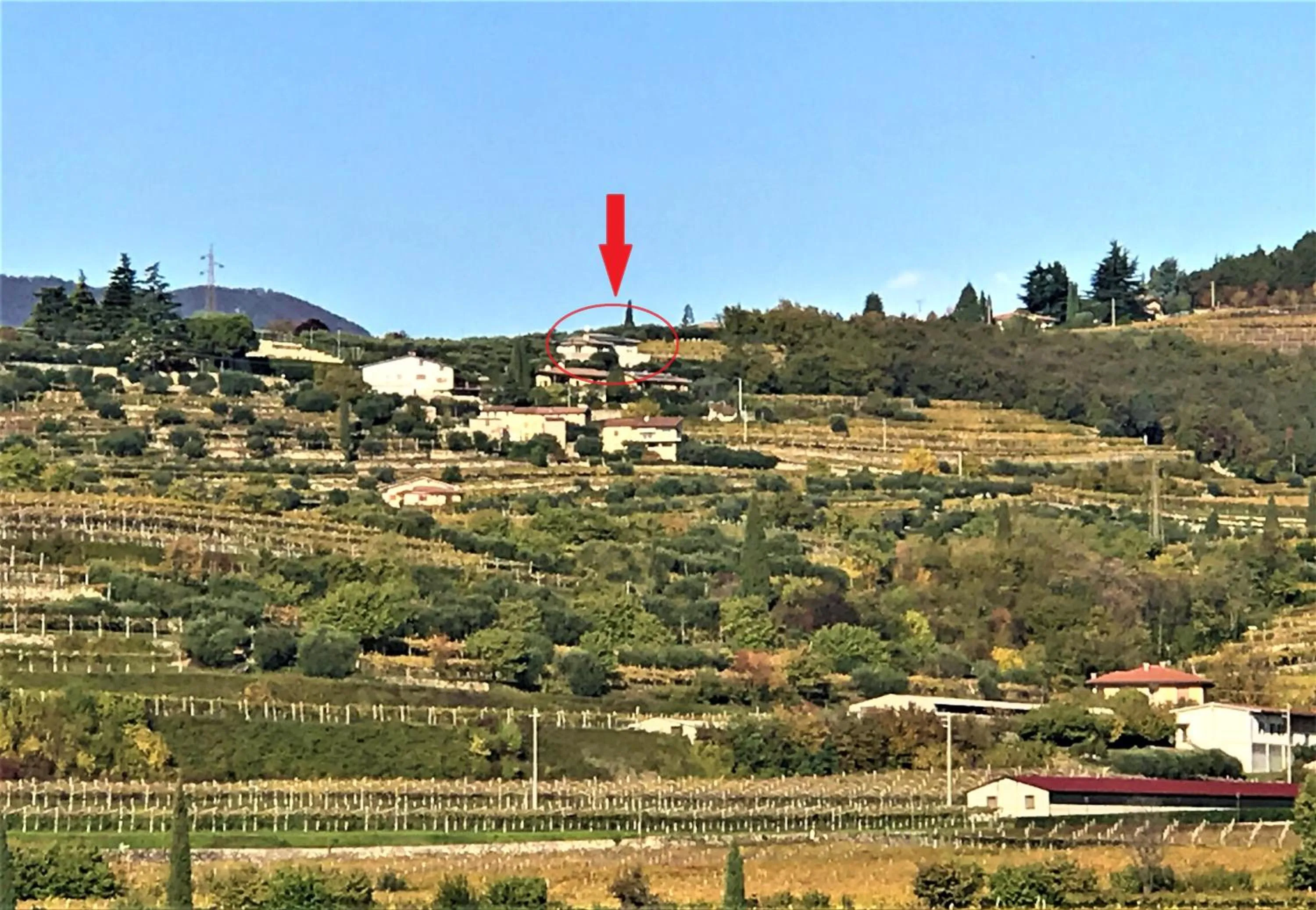 Valpolicella Hills