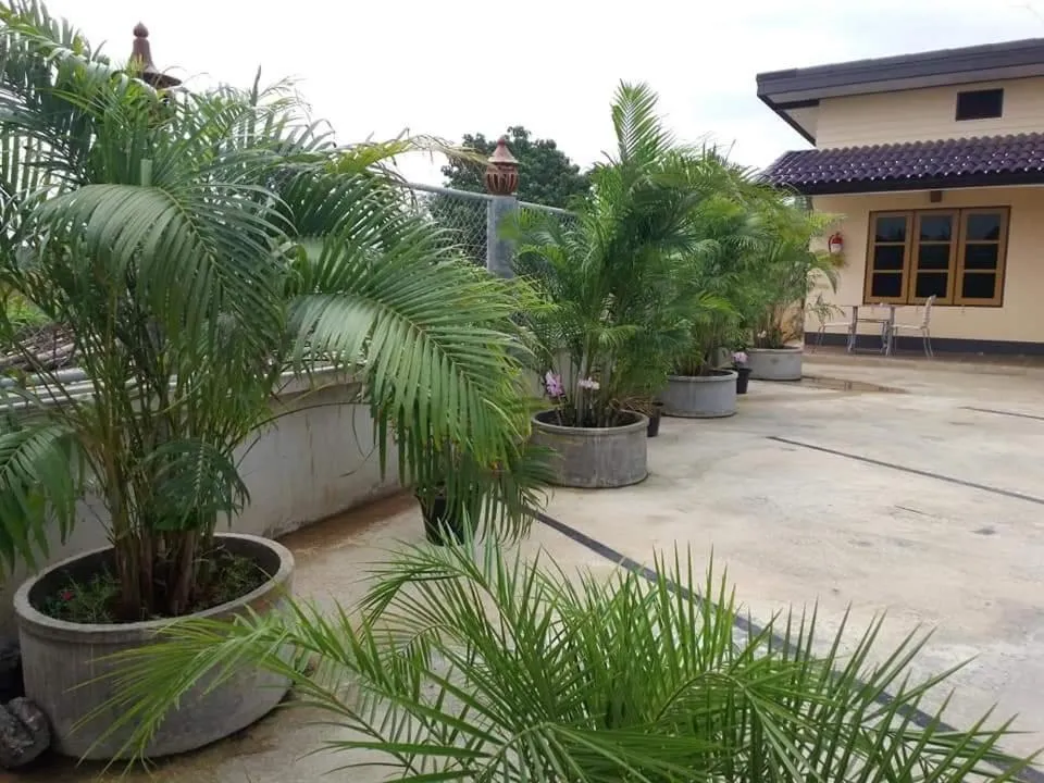 Yotin Guest House