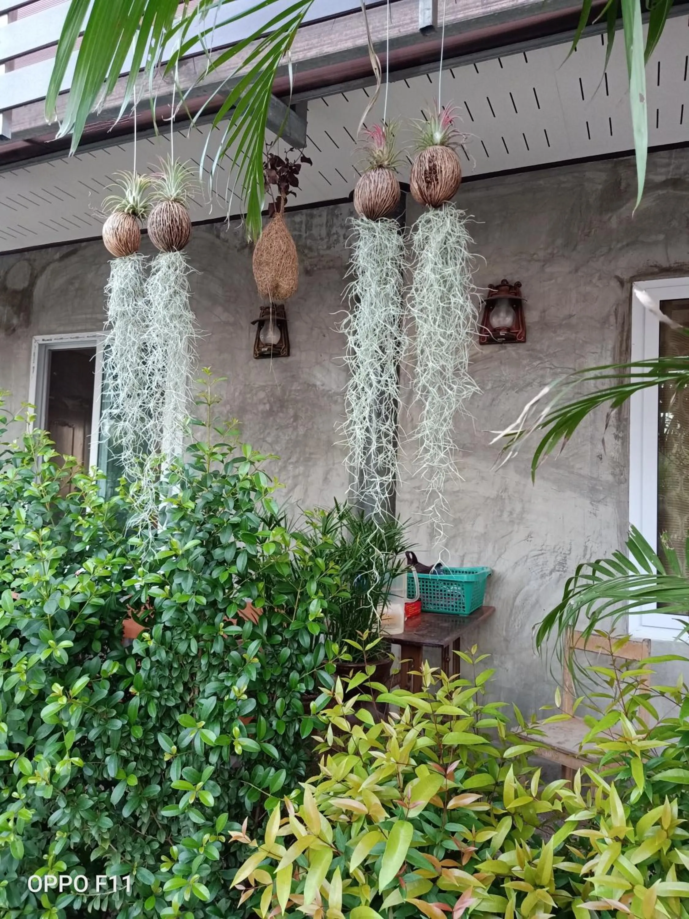 Yotin Guest House