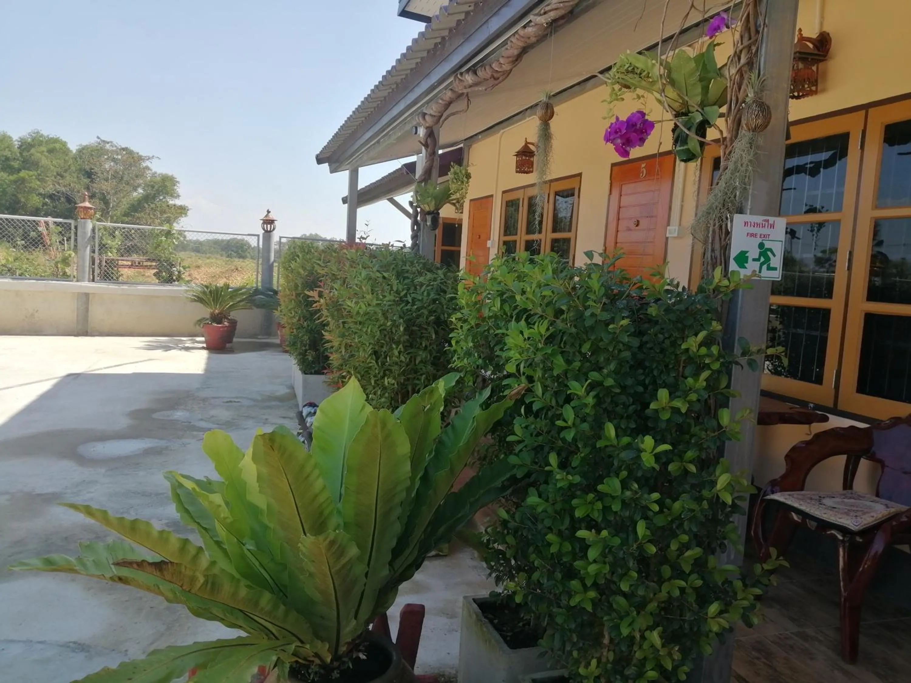 Garden view in Yotin Guest House