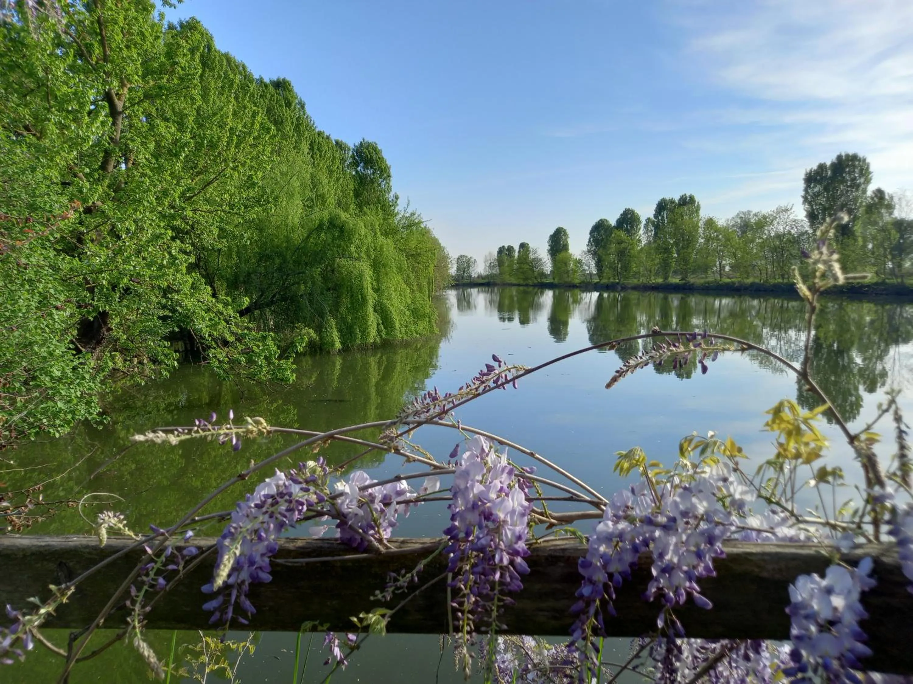 Lake view in Agriturismo Adriano Pedretti