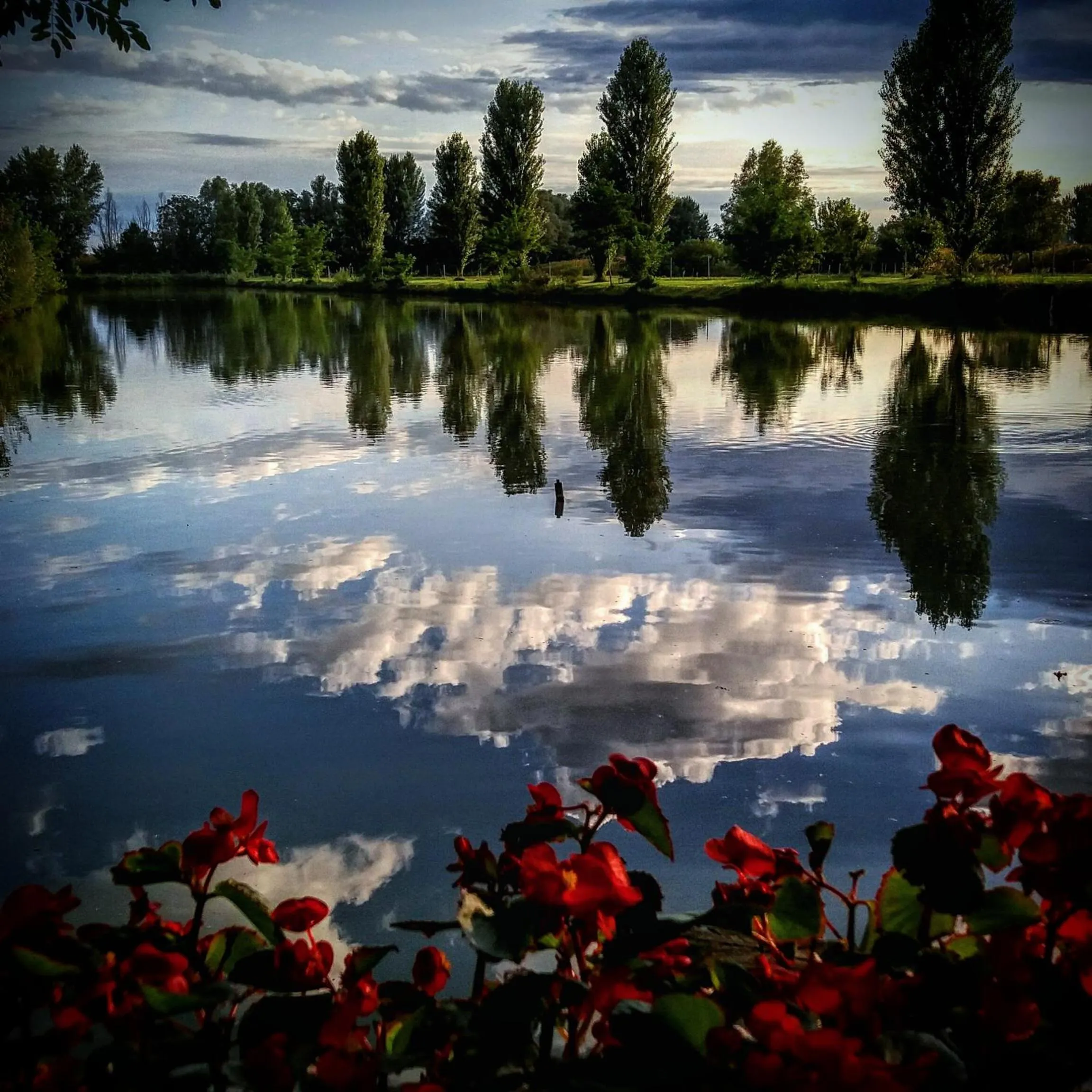 Natural landscape in Agriturismo Adriano Pedretti