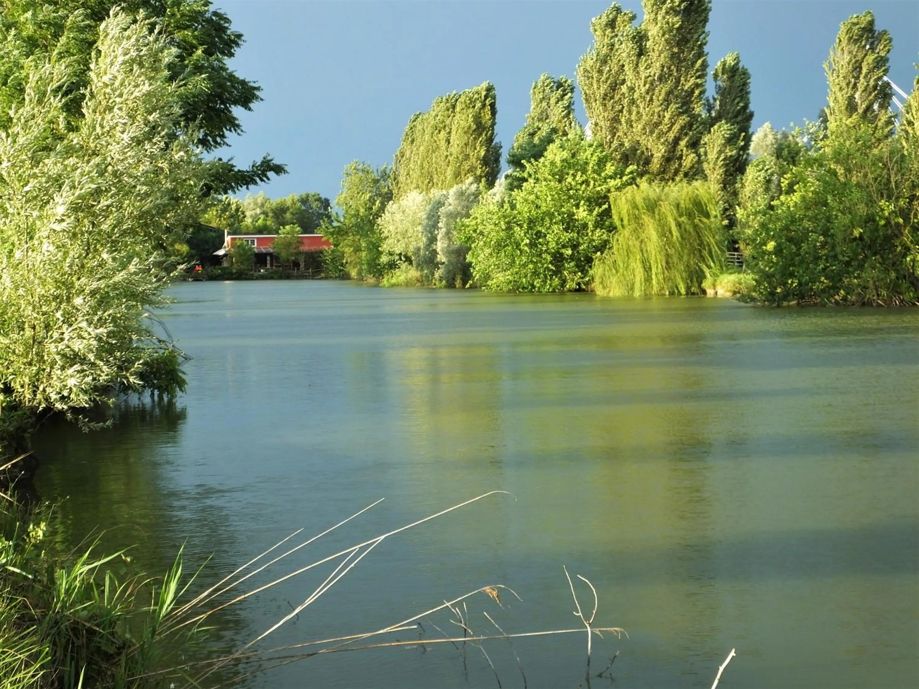 Natural landscape in Agriturismo Adriano Pedretti