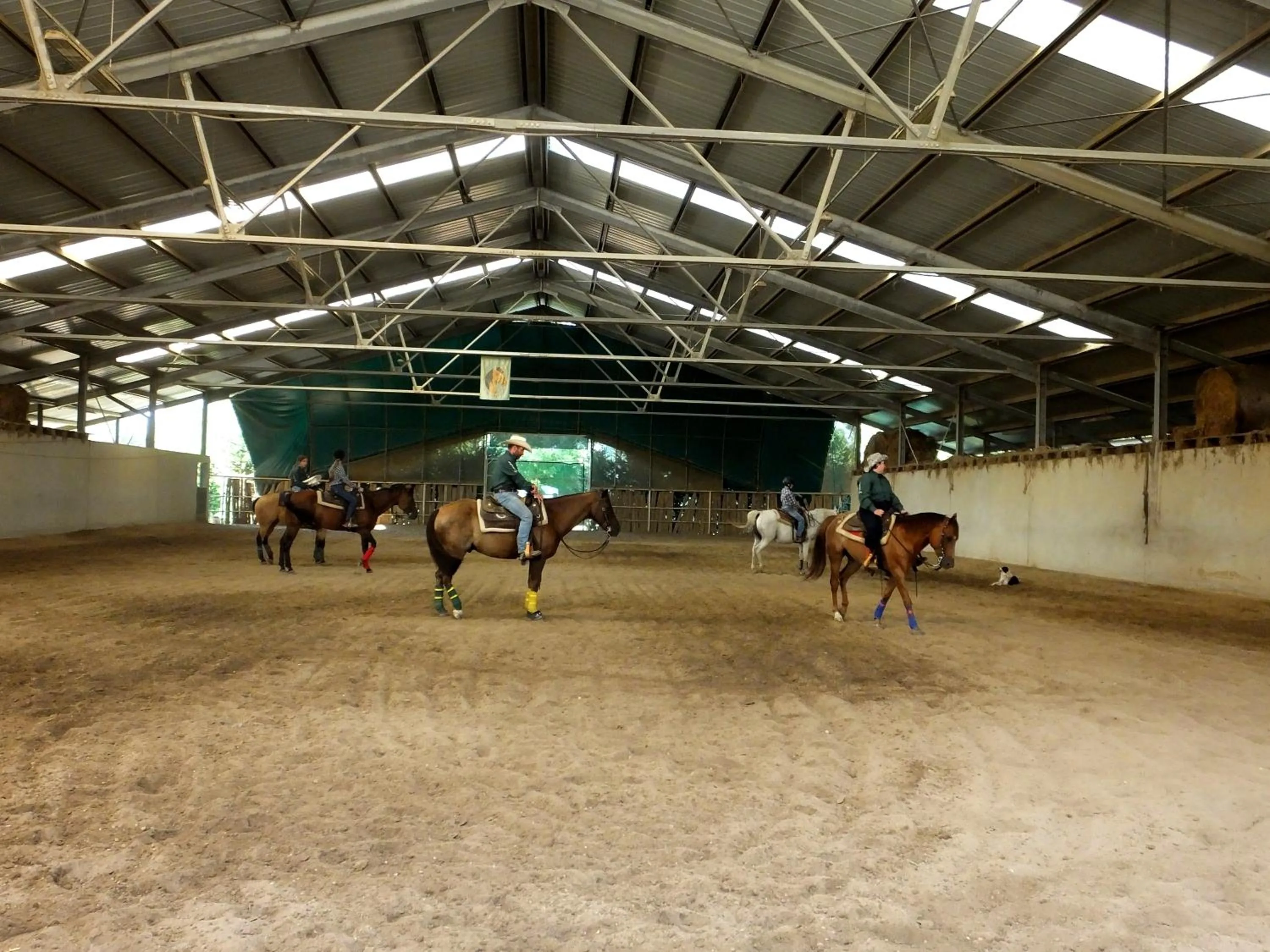 Horse-riding in Agriturismo Adriano Pedretti
