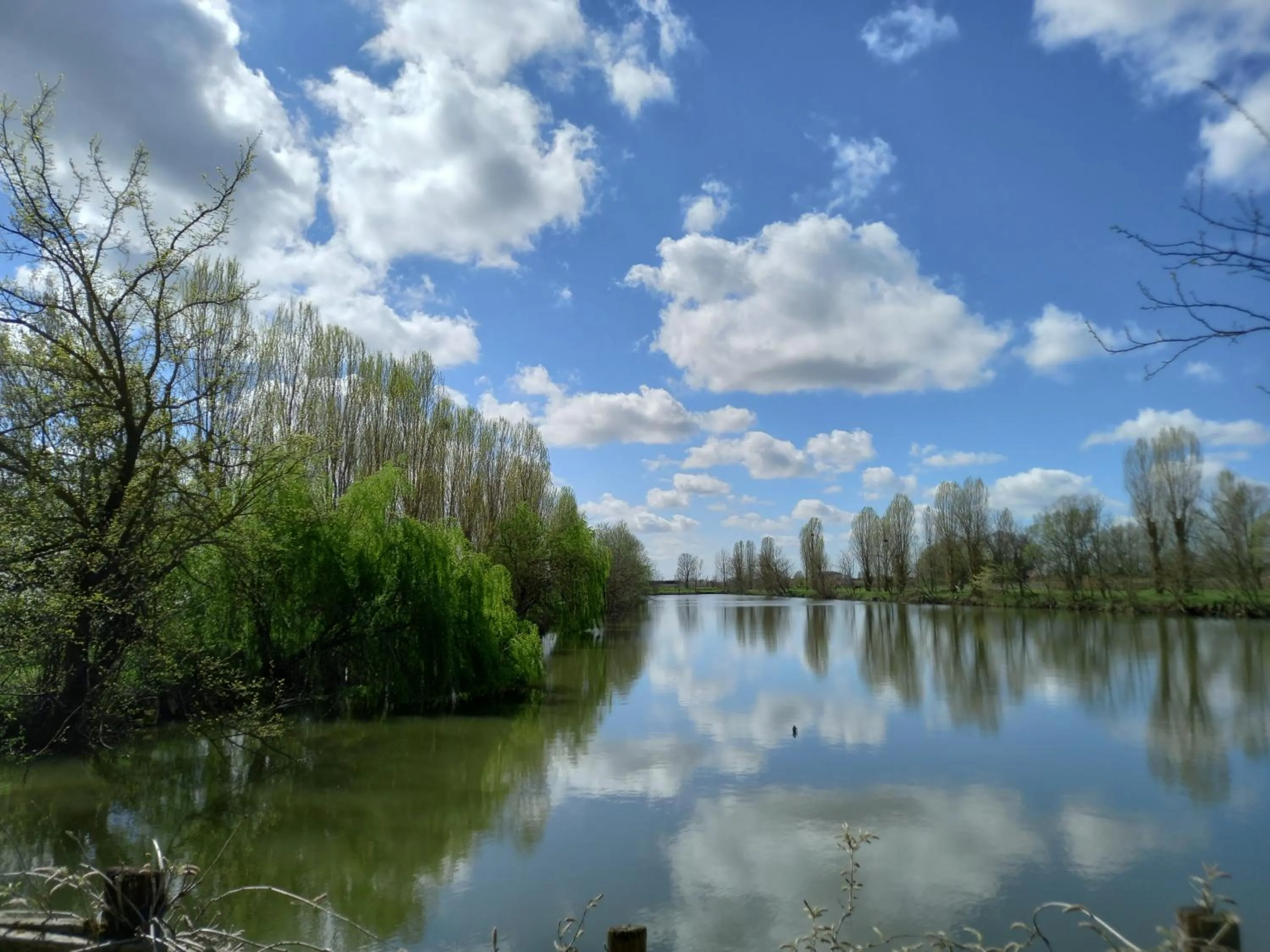 Natural landscape in Agriturismo Adriano Pedretti