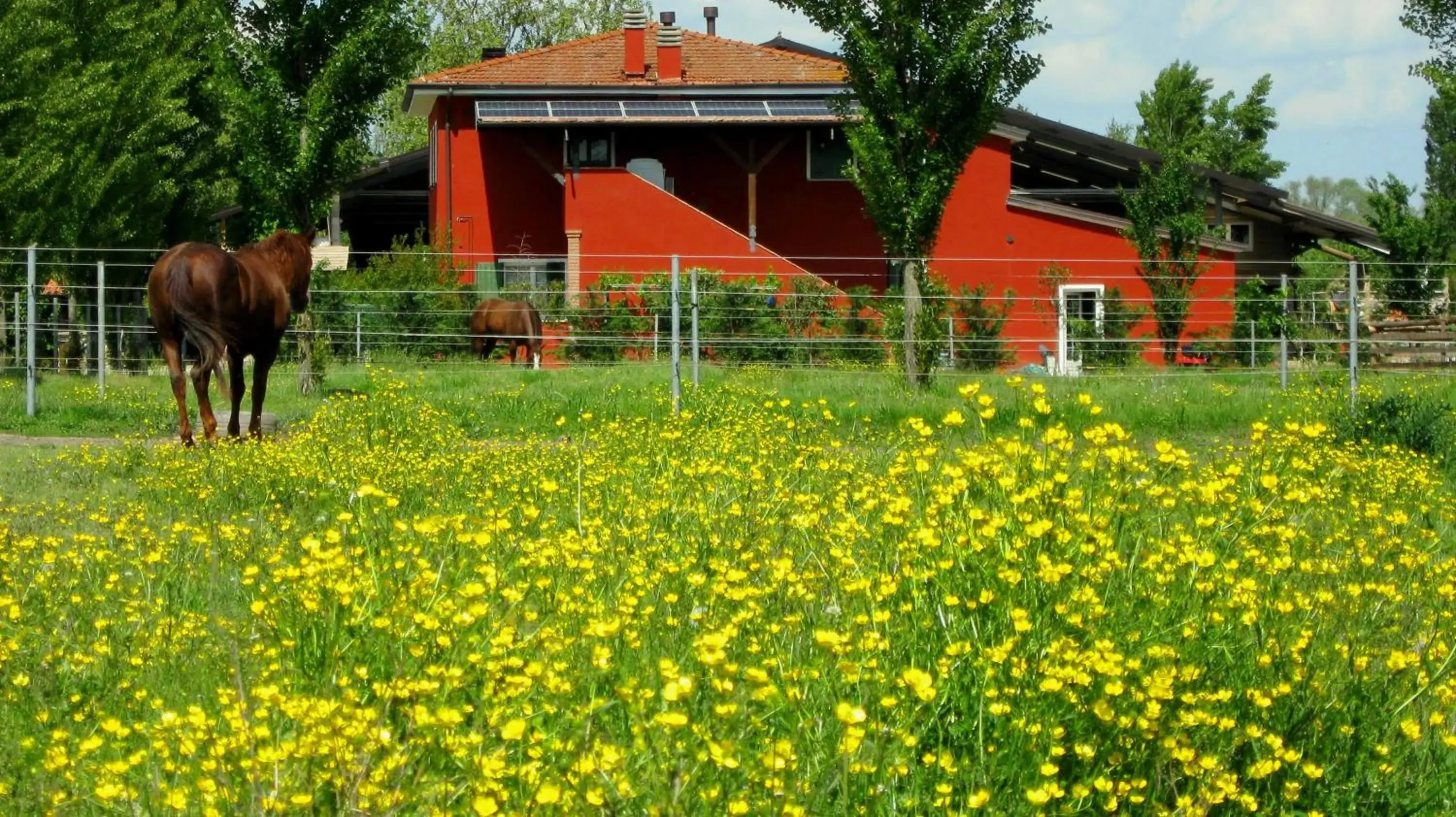 Agriturismo Adriano Pedretti Agriturismo Adriano Pedretti
