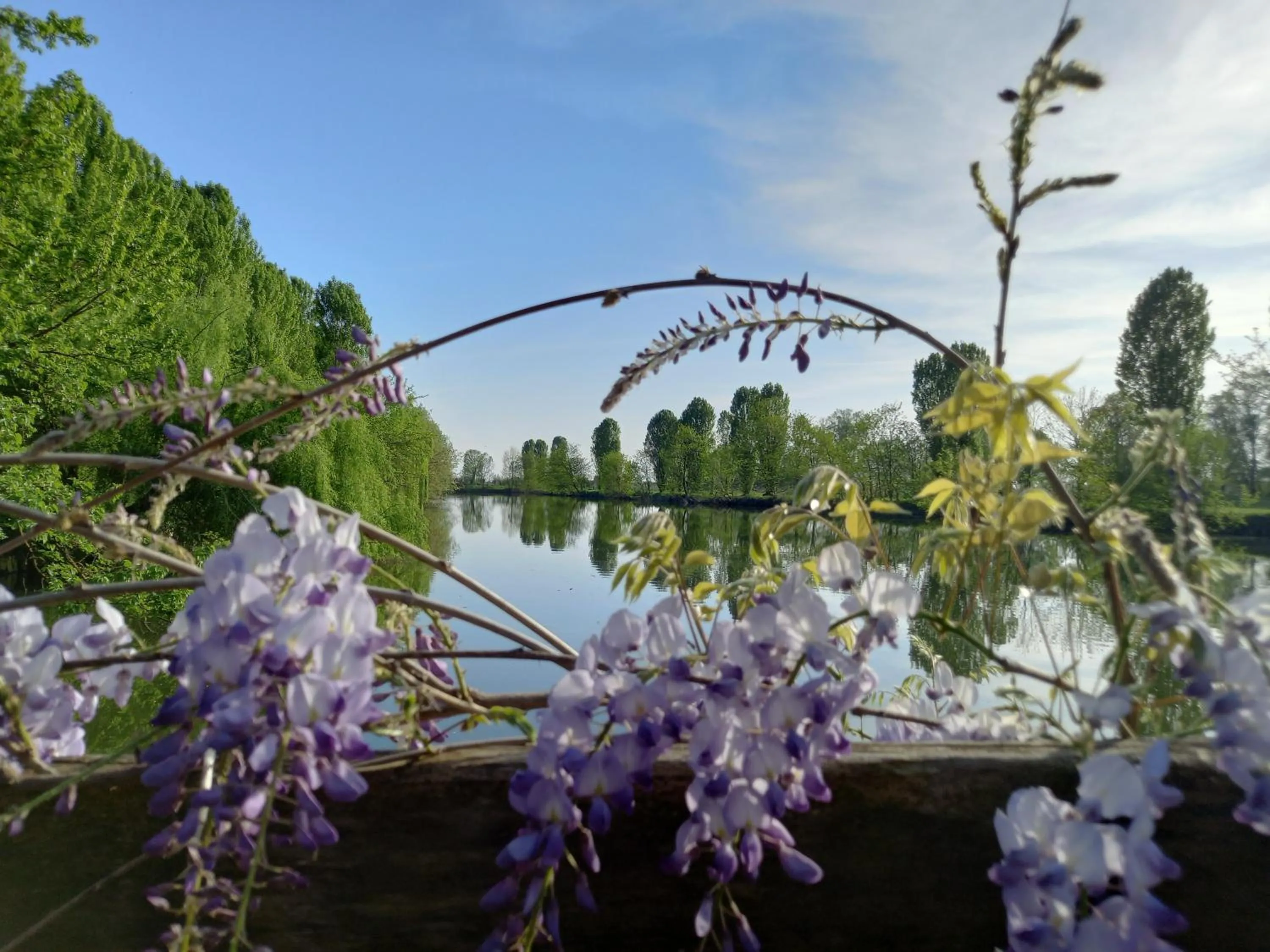 Natural landscape in Agriturismo Adriano Pedretti