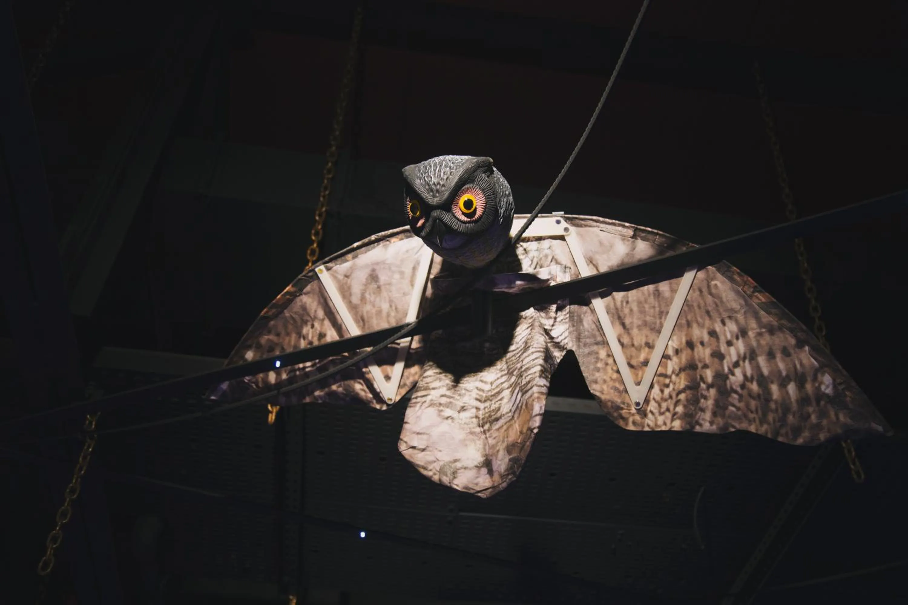 BBQ facilities in Berrak Otel