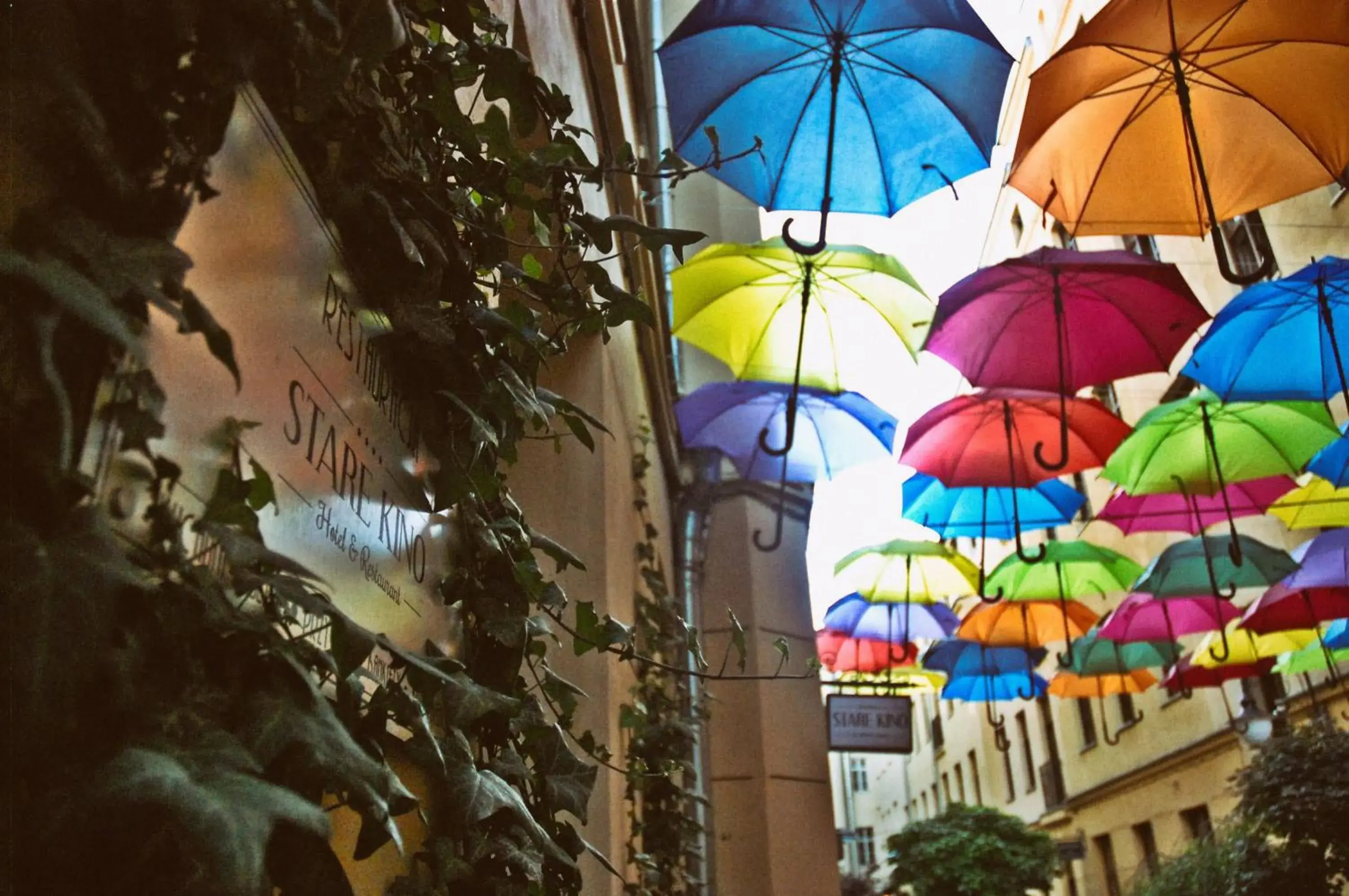 Property building in Cinema Rooms - Piotrkowska Property building in Cinema Rooms - Piotrkowska