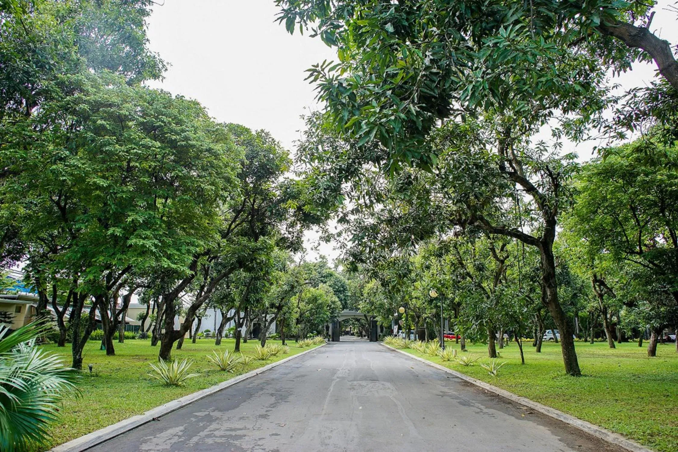 Garden in Adhiwangsa Hotel