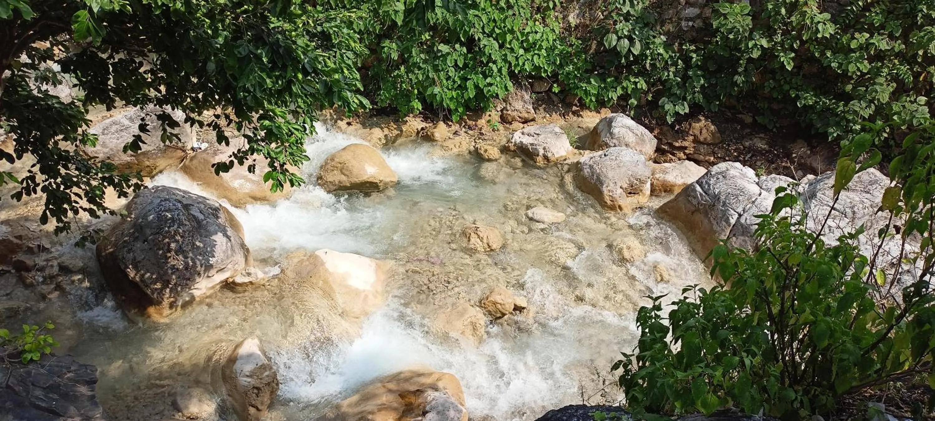 Natural landscape in Swami Samarpan Ashram