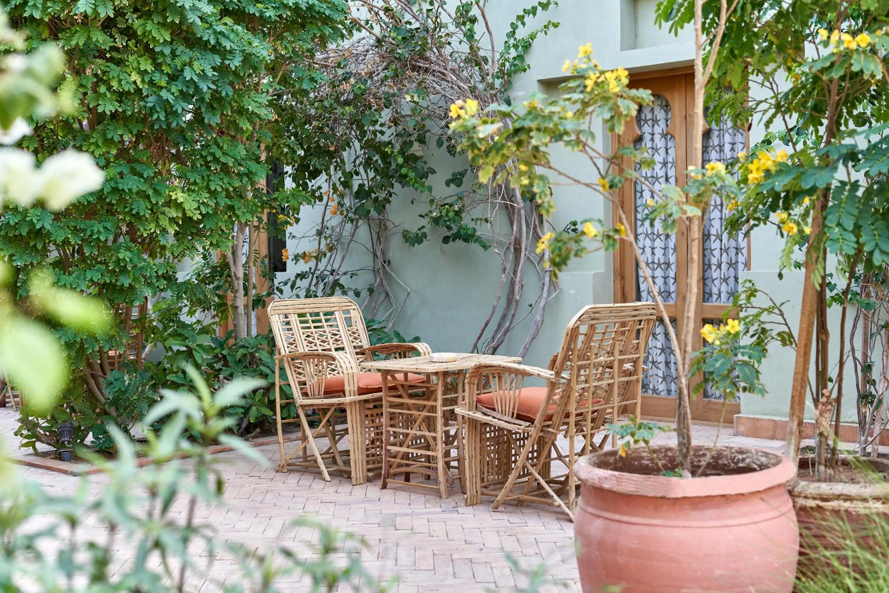 Garden in Ali Pasha Hotel
