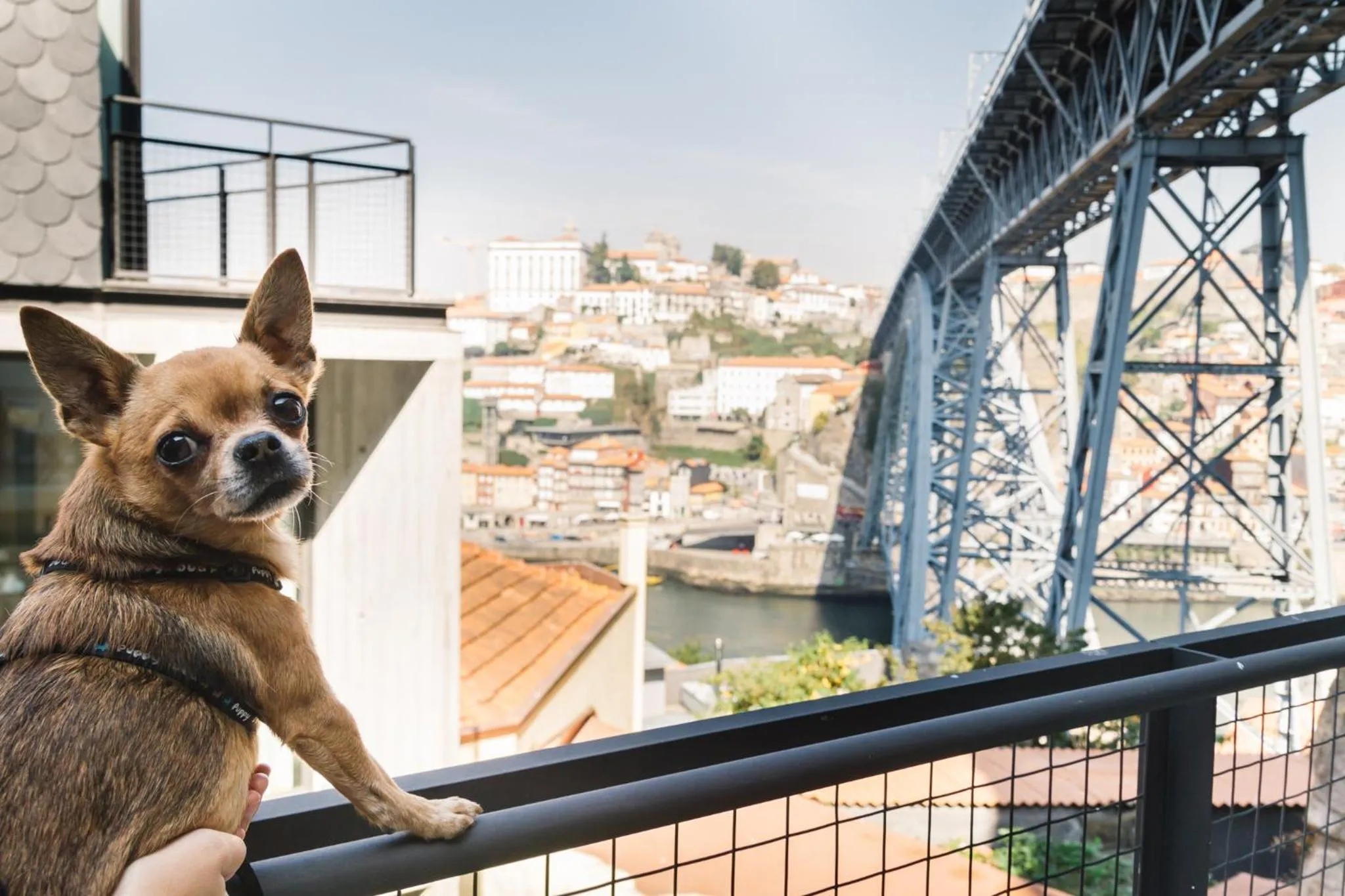 Balcony/Terrace in Oh! Porto Apartments