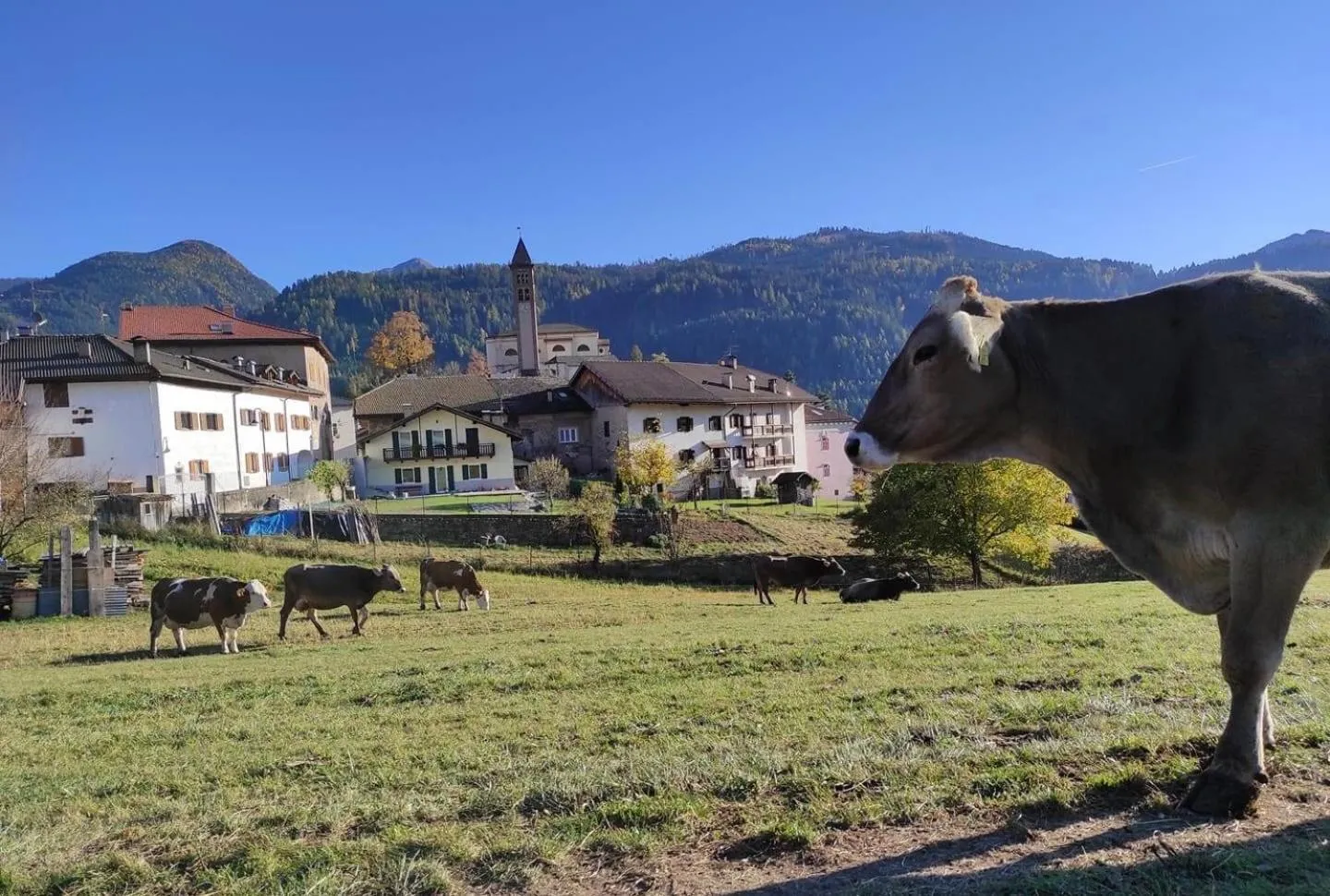 Neighbourhood in Almida