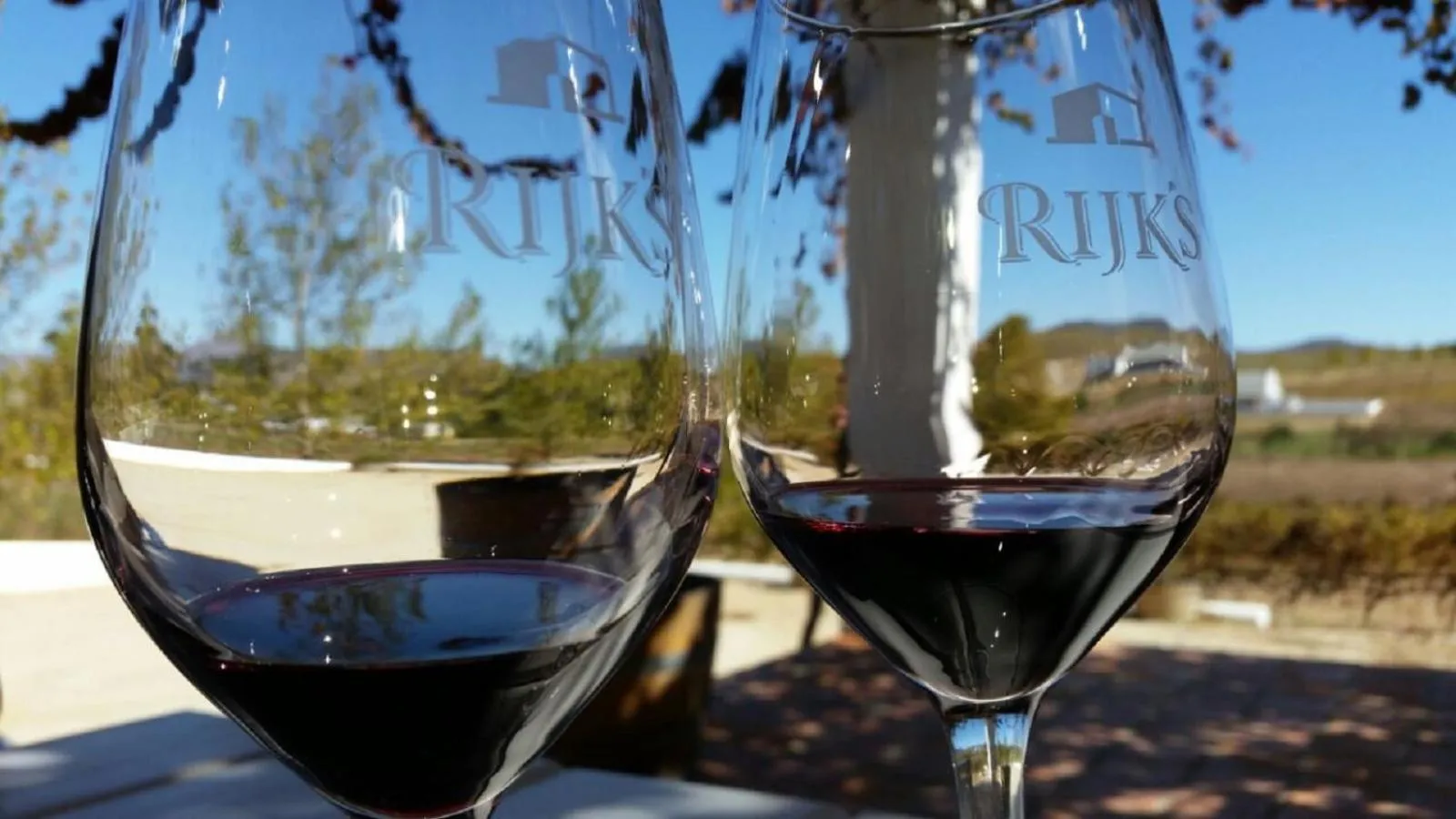 Restaurant/places to eat in African Tulip Guesthouse