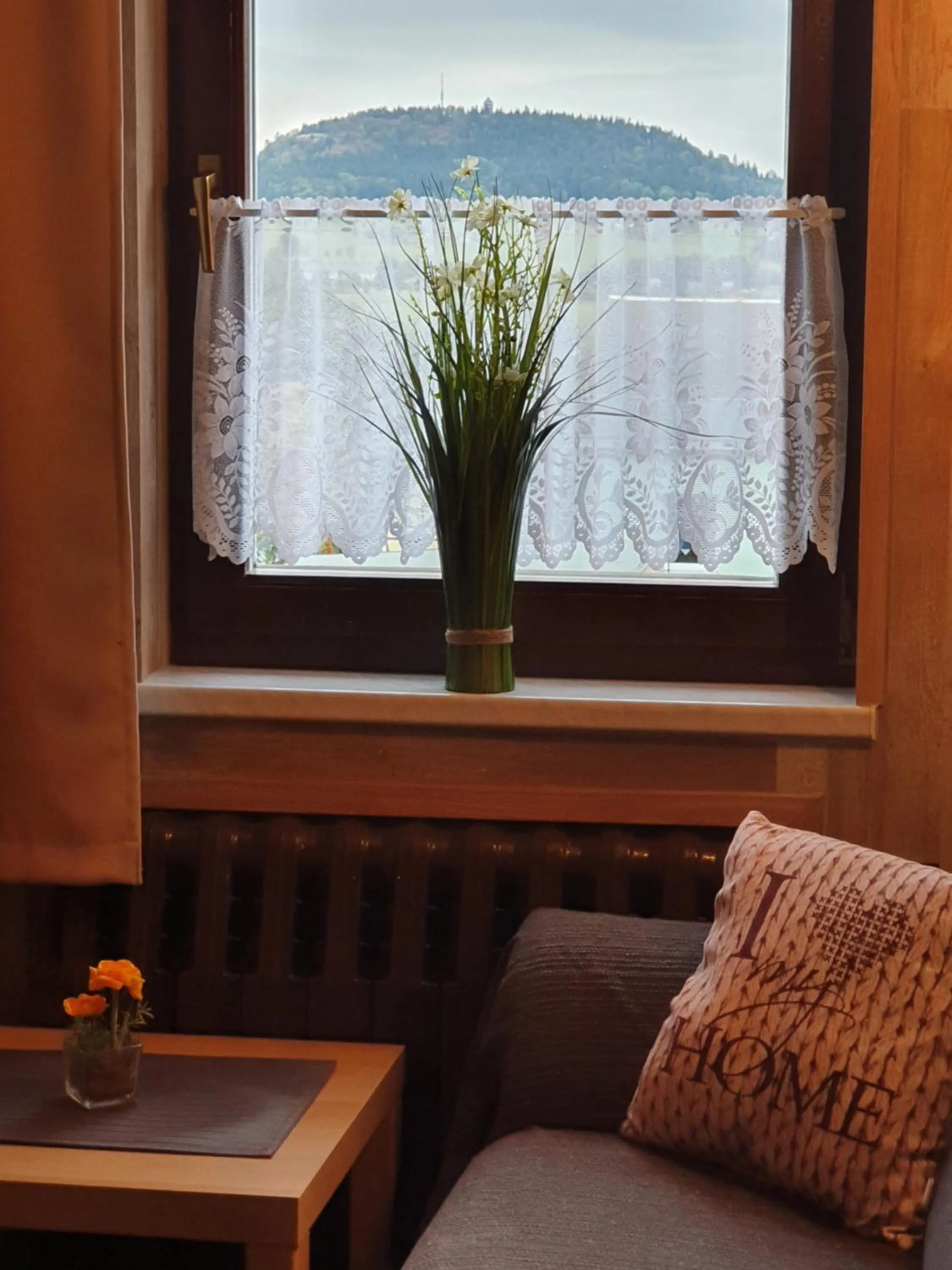 Mountain view in Gästehaus Hutweide