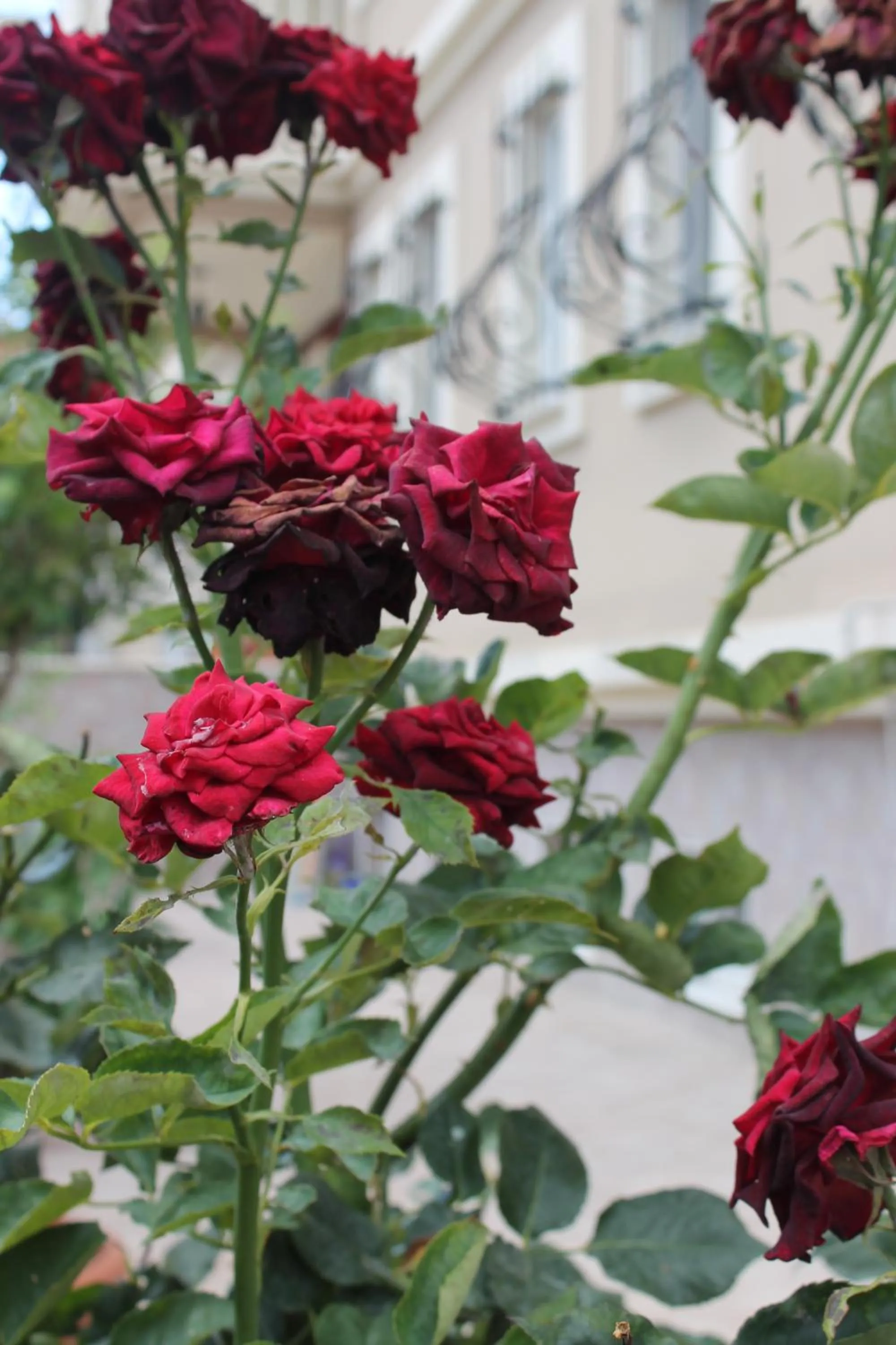 Property building in Gizem Pansiyon