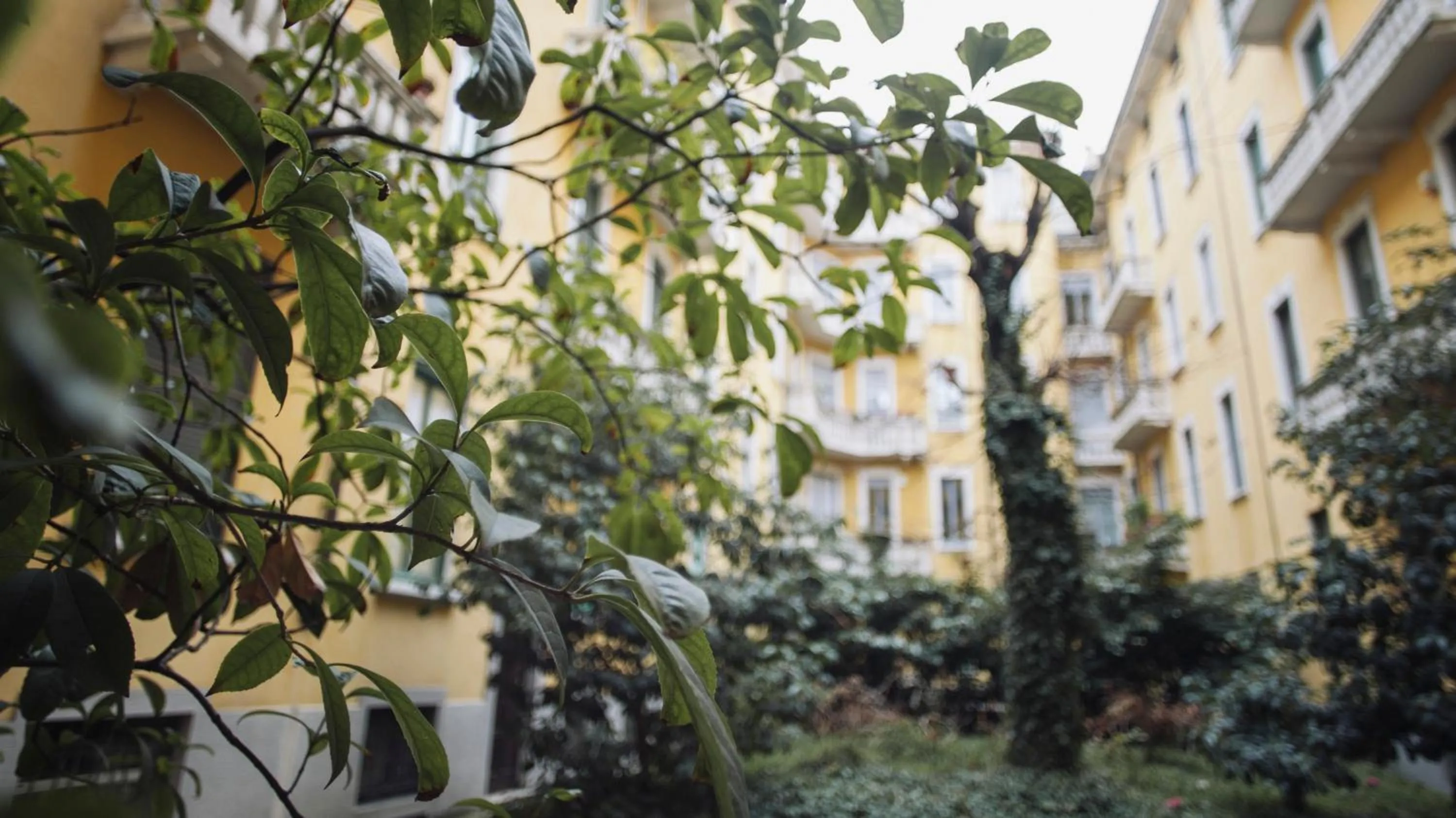 Facade/entrance in Italianway-Vivaio