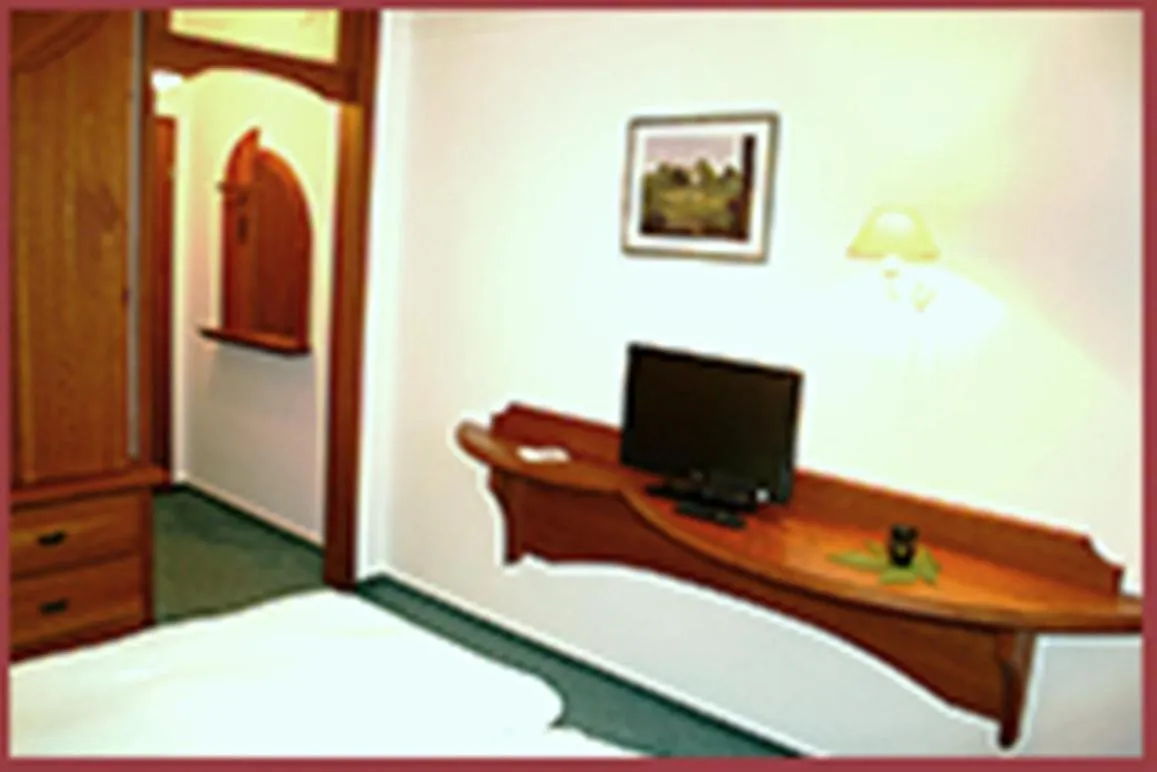 Photo of the whole room in Hotel Rodewisch