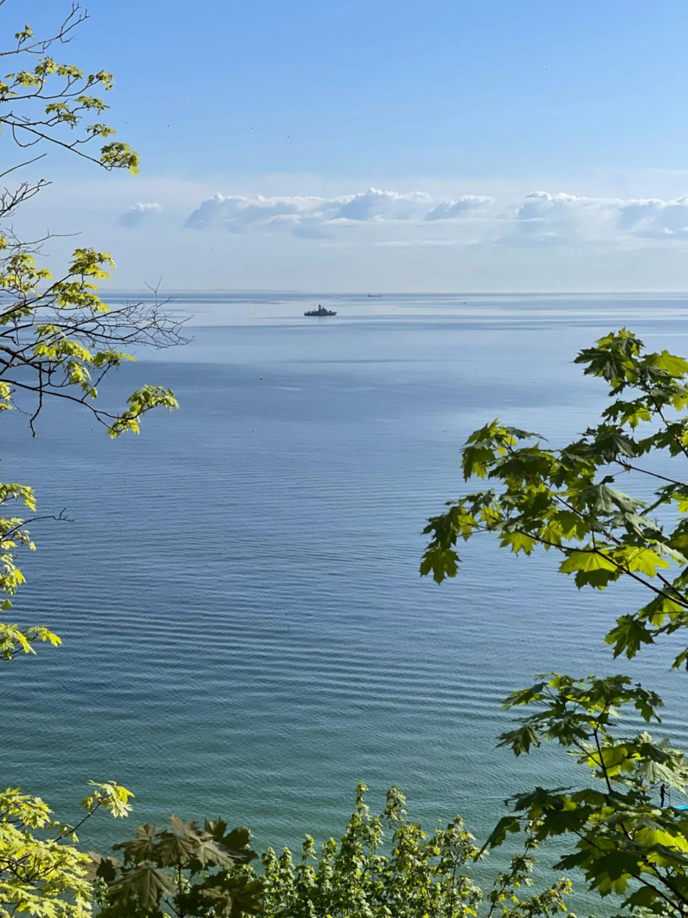 Natural landscape in Domki Jasna Polana