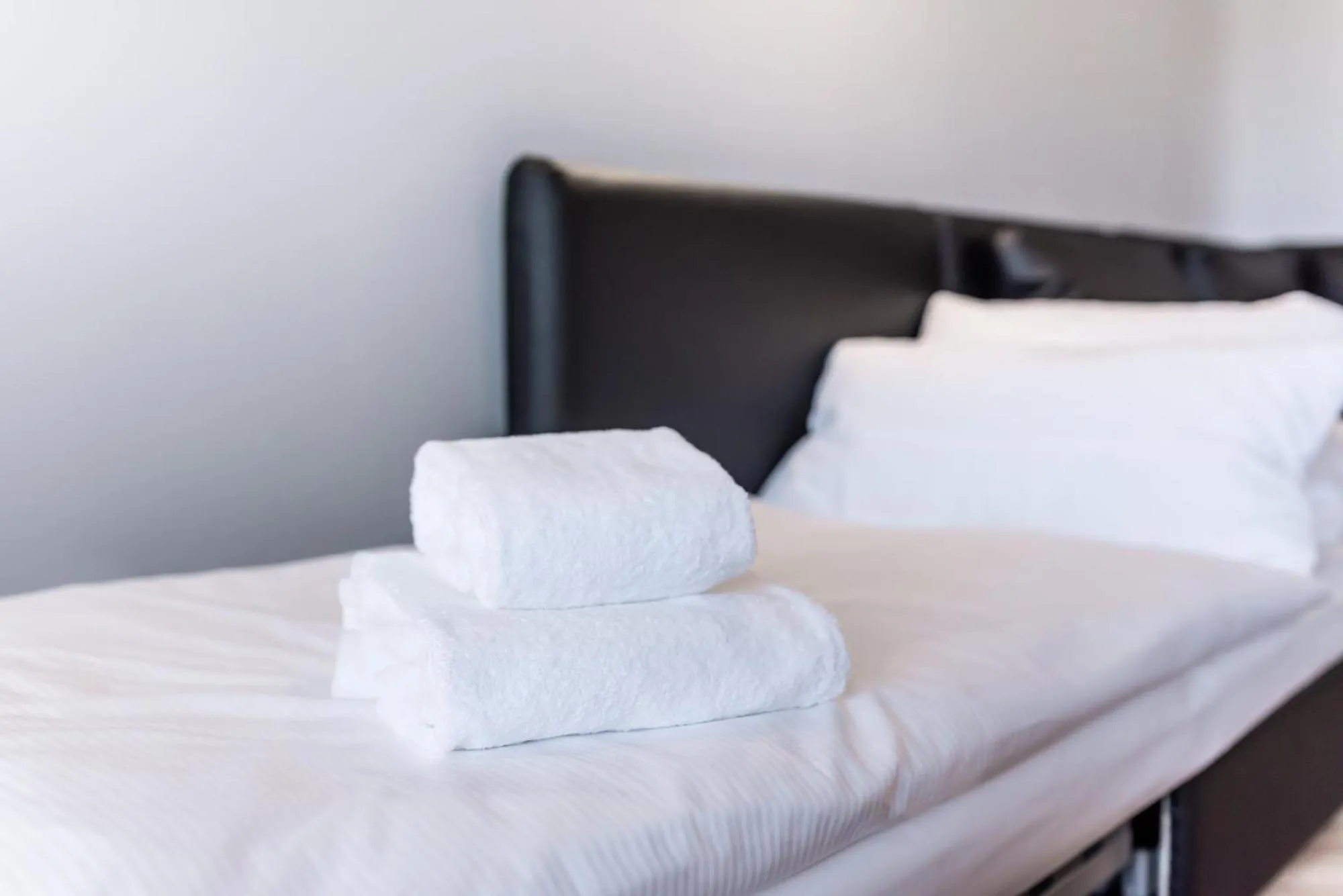 Bed in Hotel Circle Inn