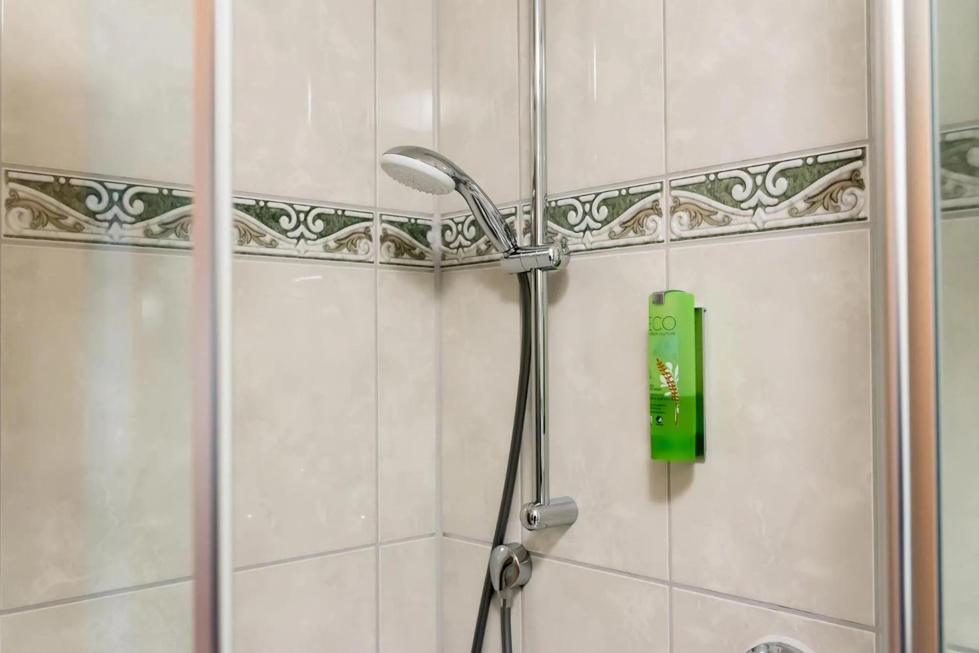 Shower in Hotel Circle Inn